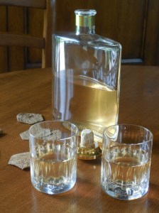 Vin d’Oranges maison – parfait pour un apĂ©ritif en Ă©tĂ©