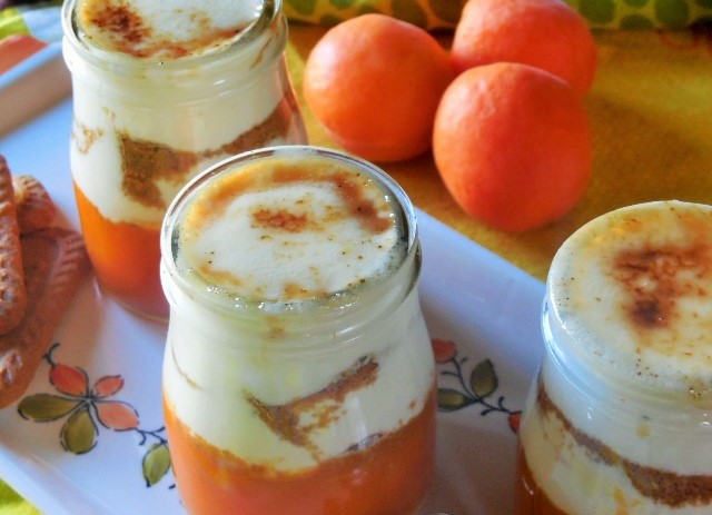 yaourt-abricote (3)