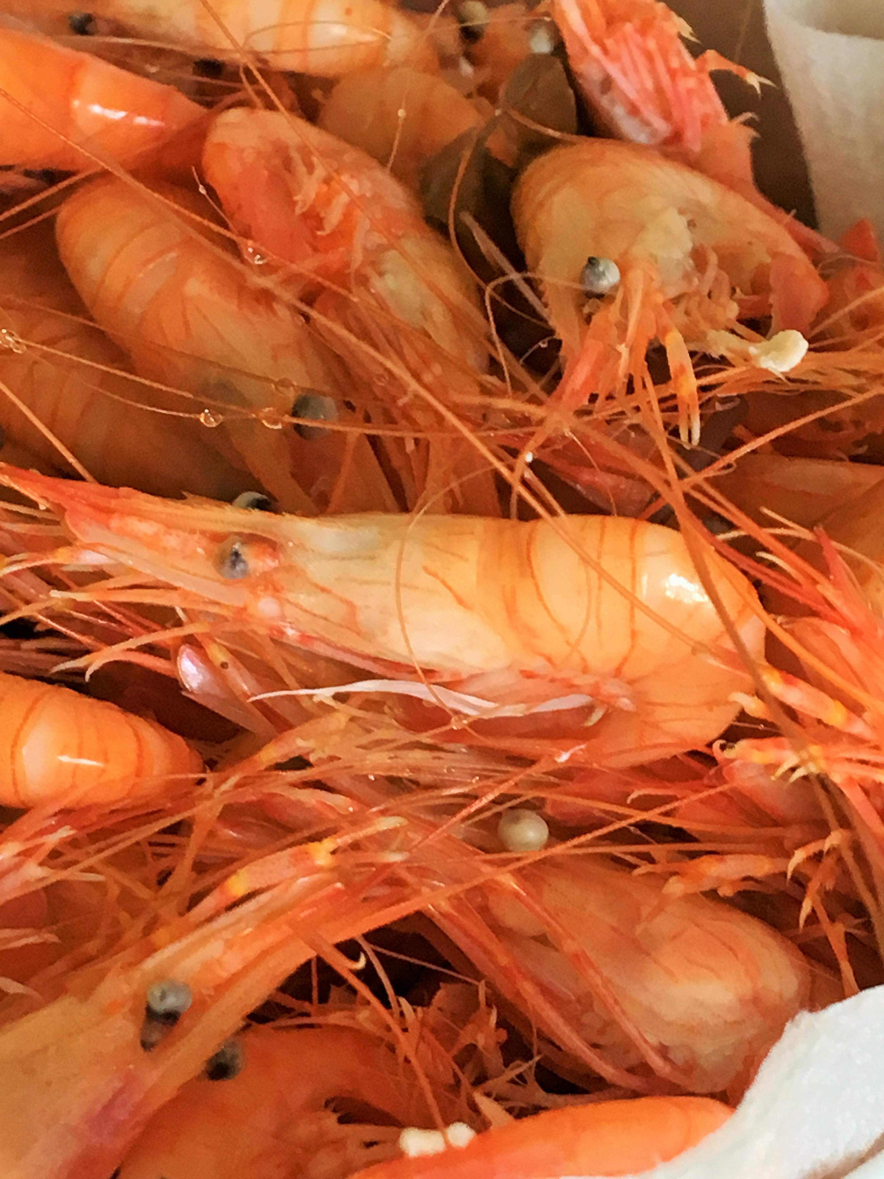 crevette-bouquet-fraiche (5)