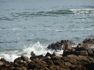 Blog en sommeil pour pause…&nbsp;estivale