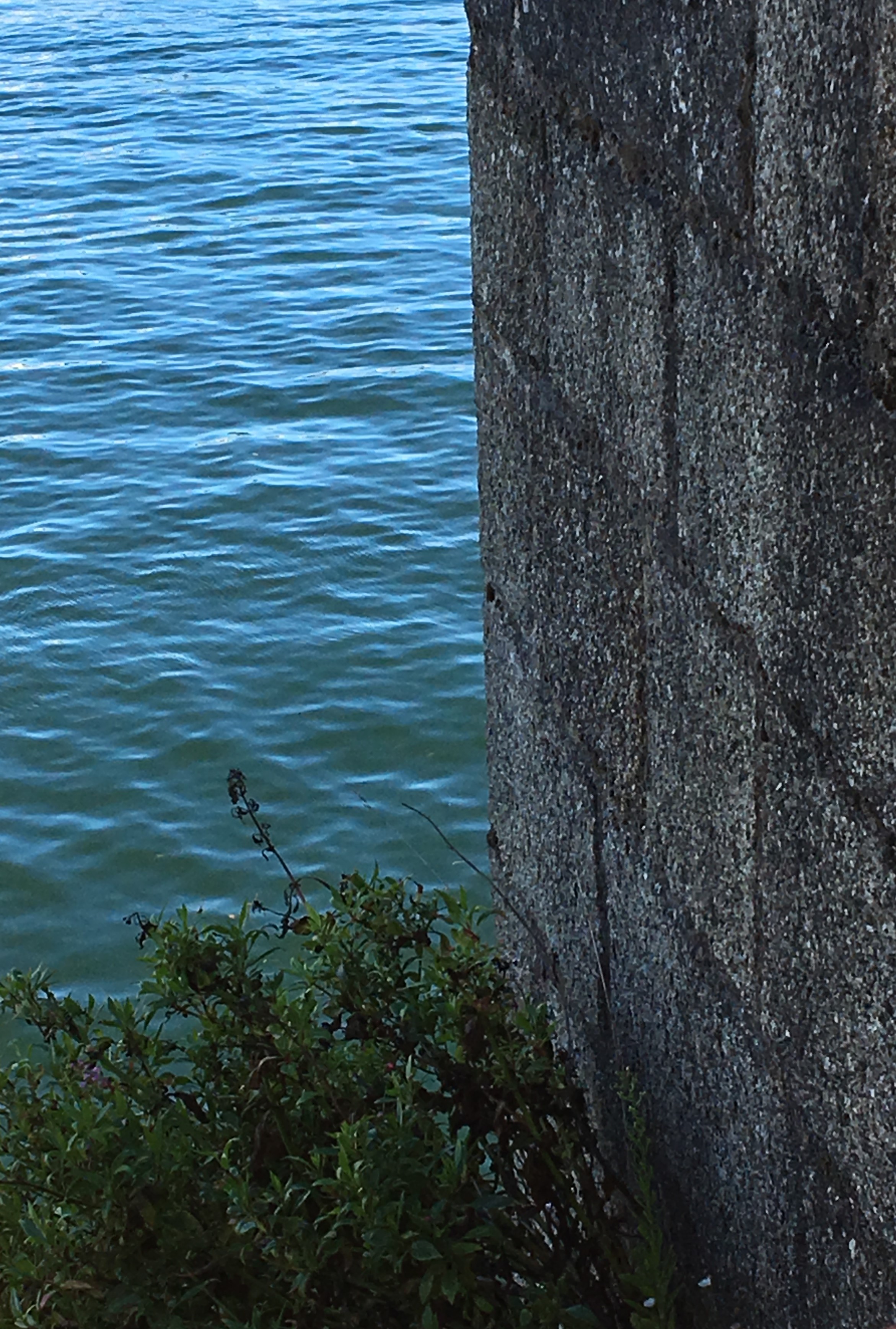 concarneau-08-2017 (19)