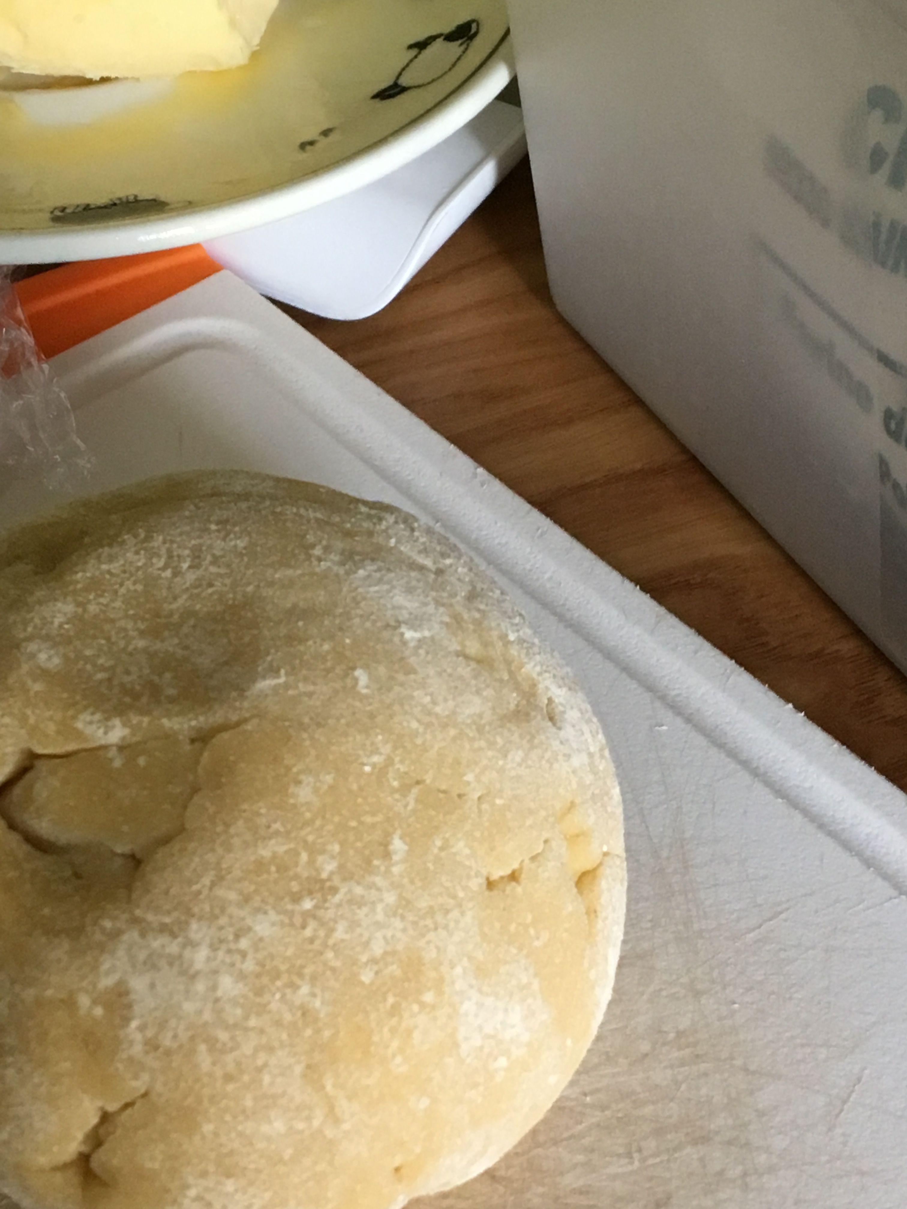 pate-brisee-michalak (3)