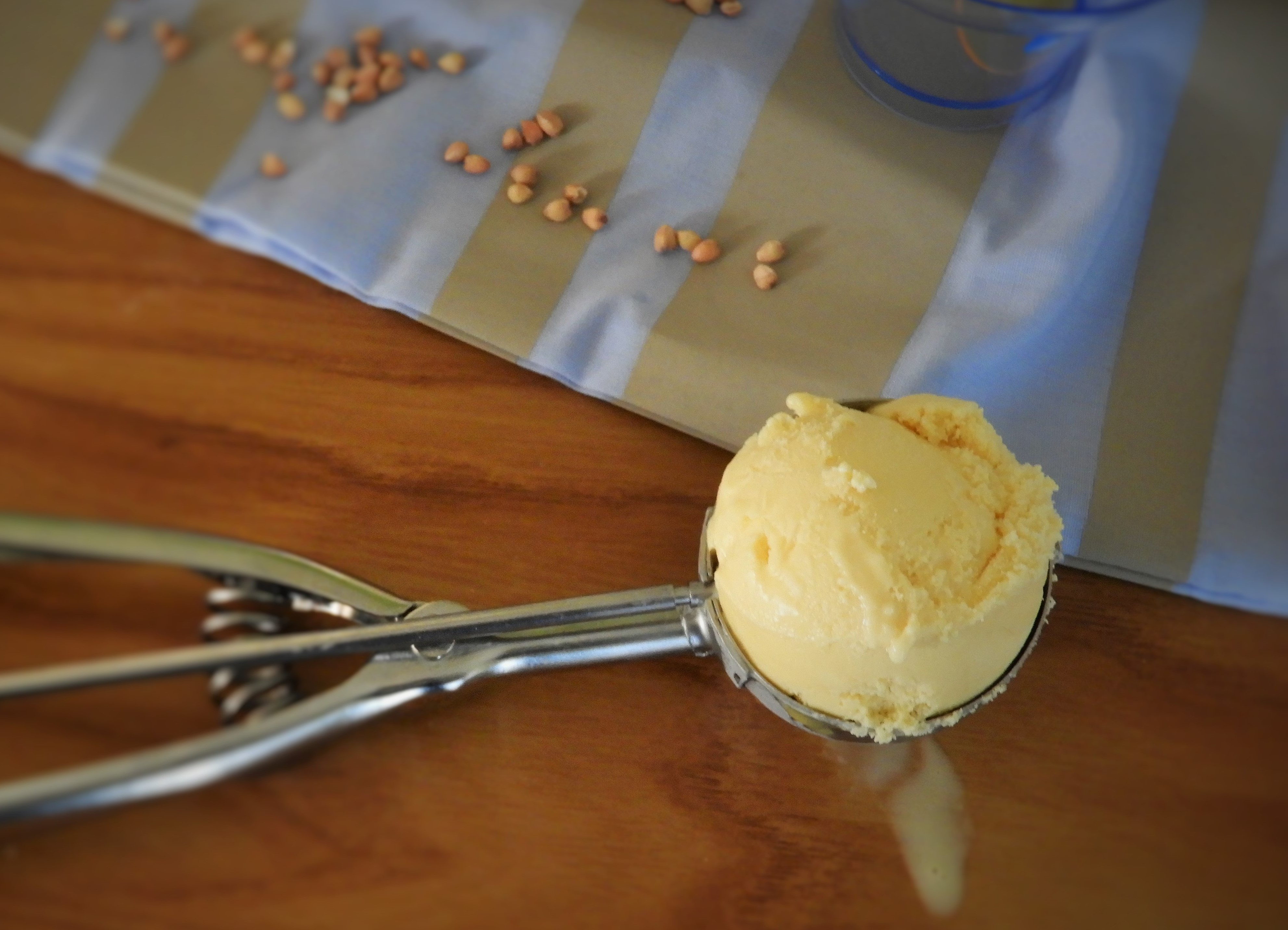 creme-glacee-au-sarrasin (16)