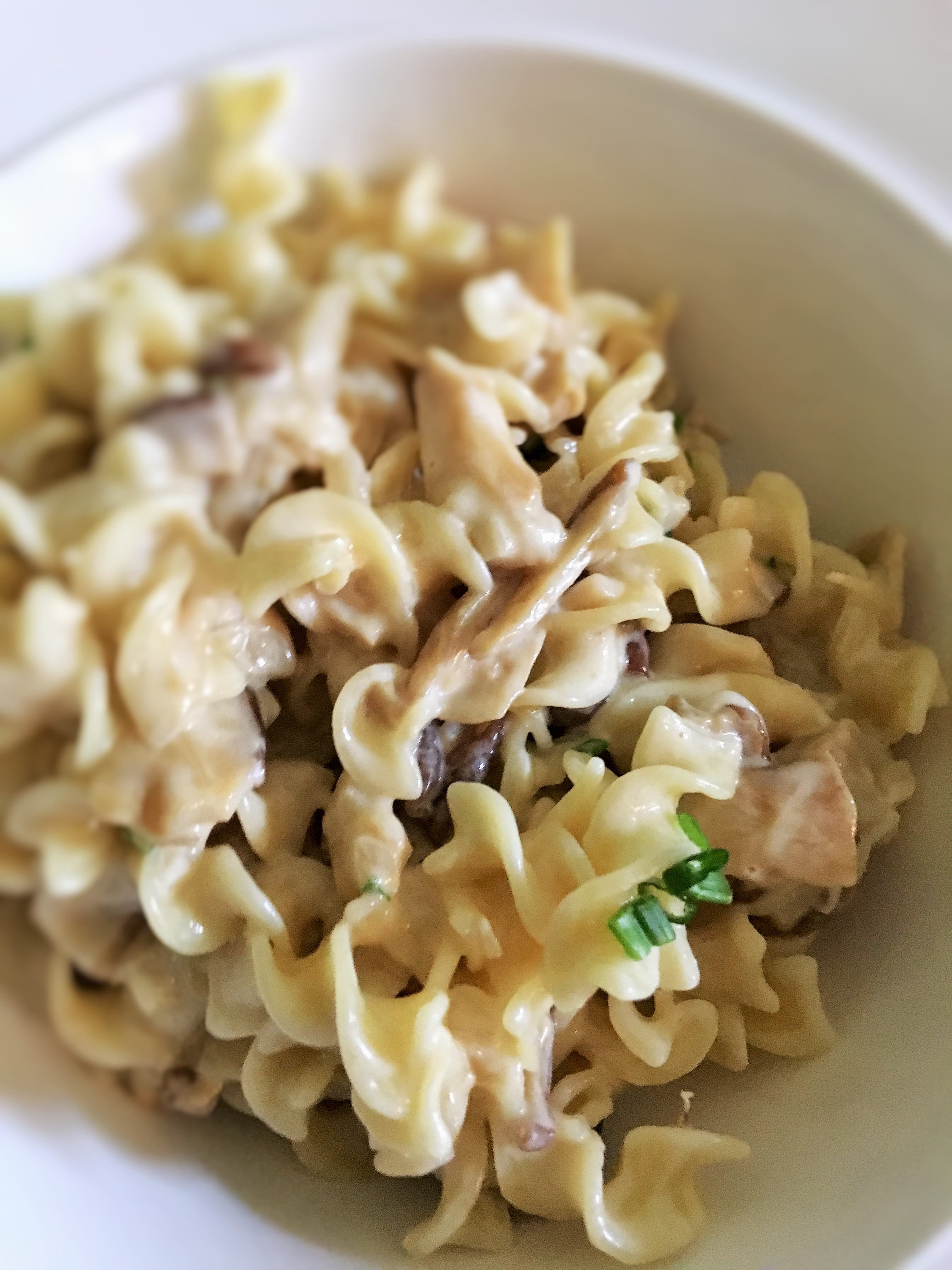 nouilles-aux-cepes-creme-abondance (5)