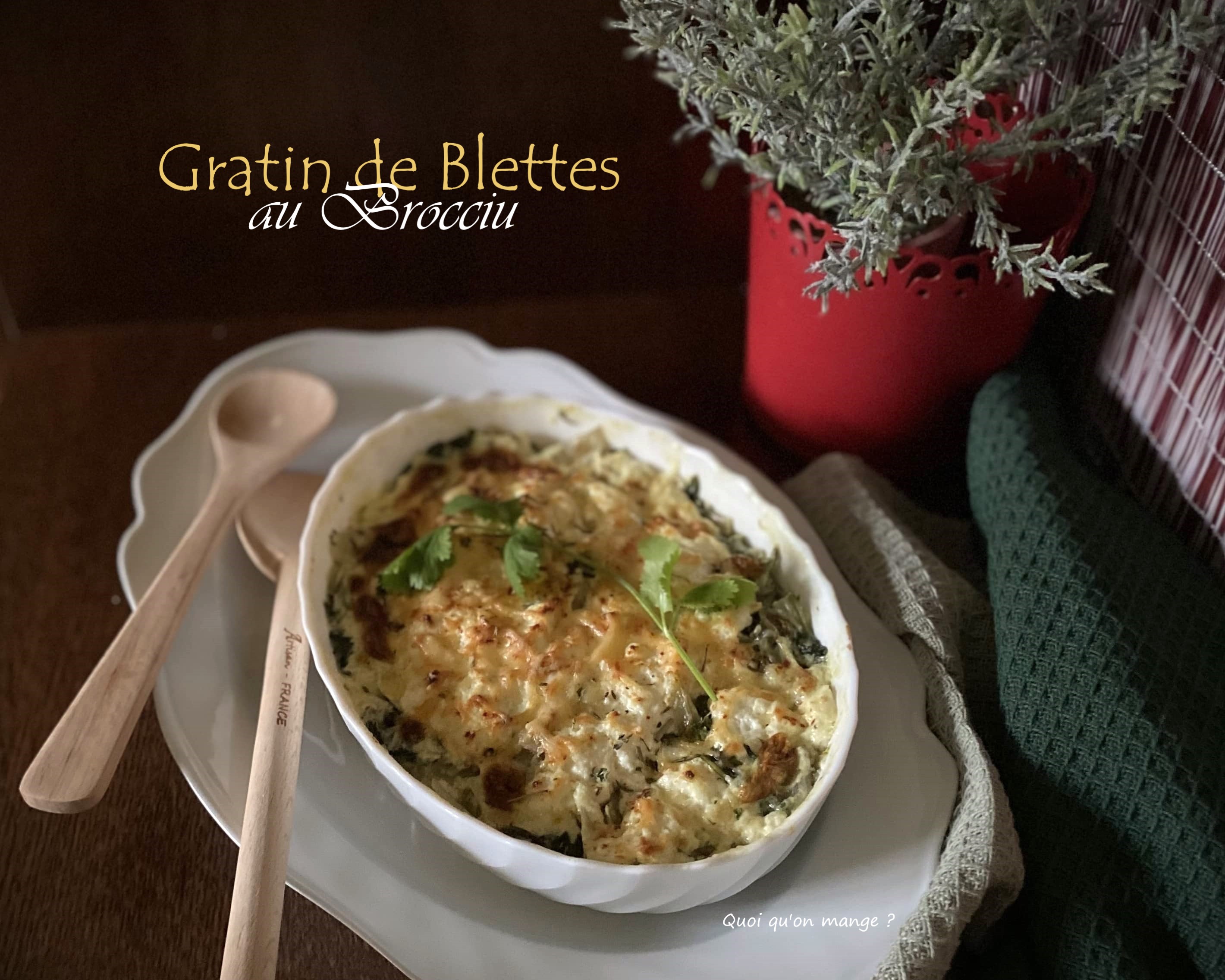 Blettes – Gratin au Brocciu – fromage&nbsp;corse