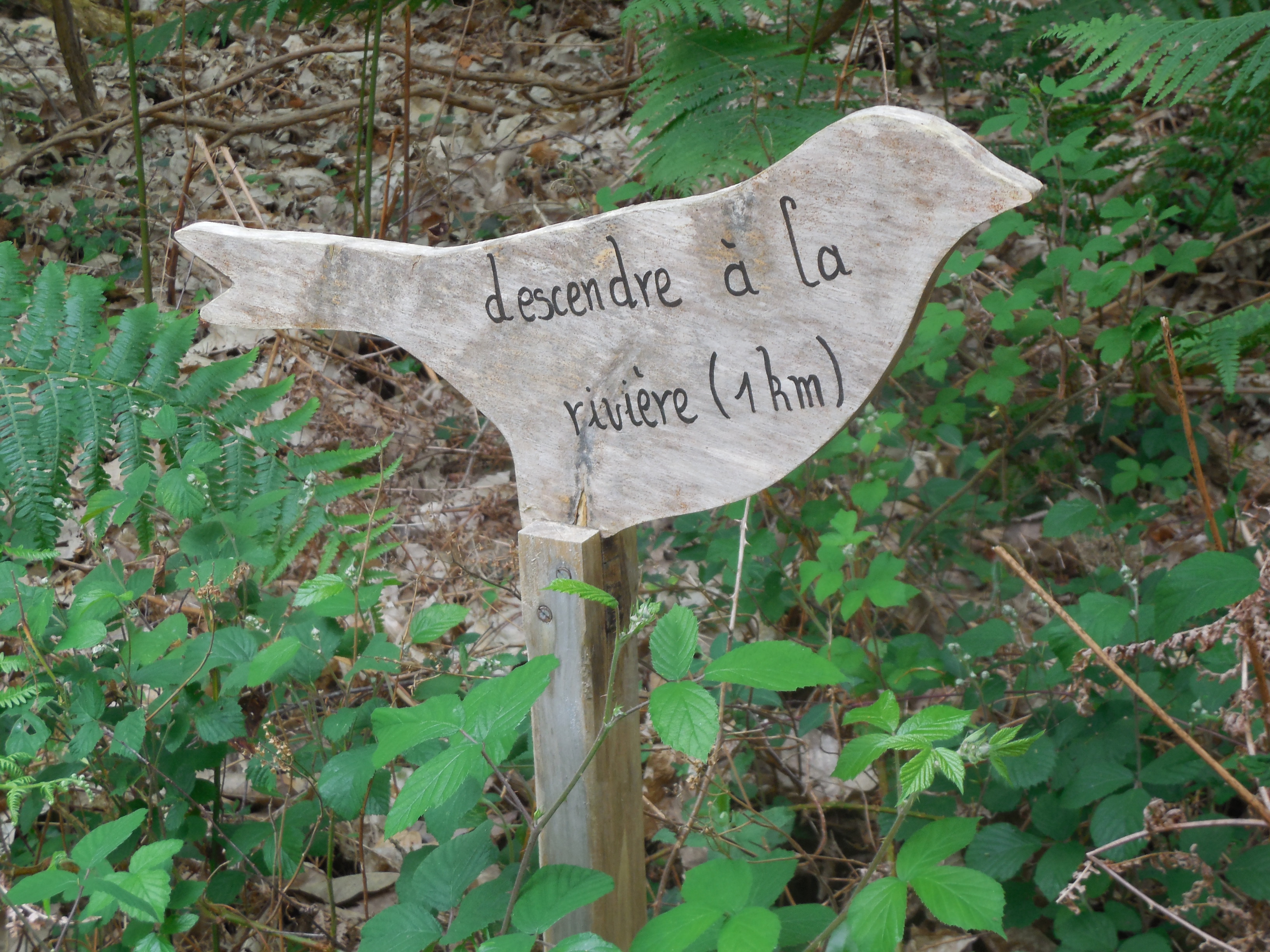 boutiguery-parc-floral-finistere (102)