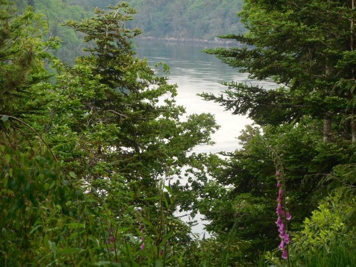 boutiguery-parc-floral-finistere (110)