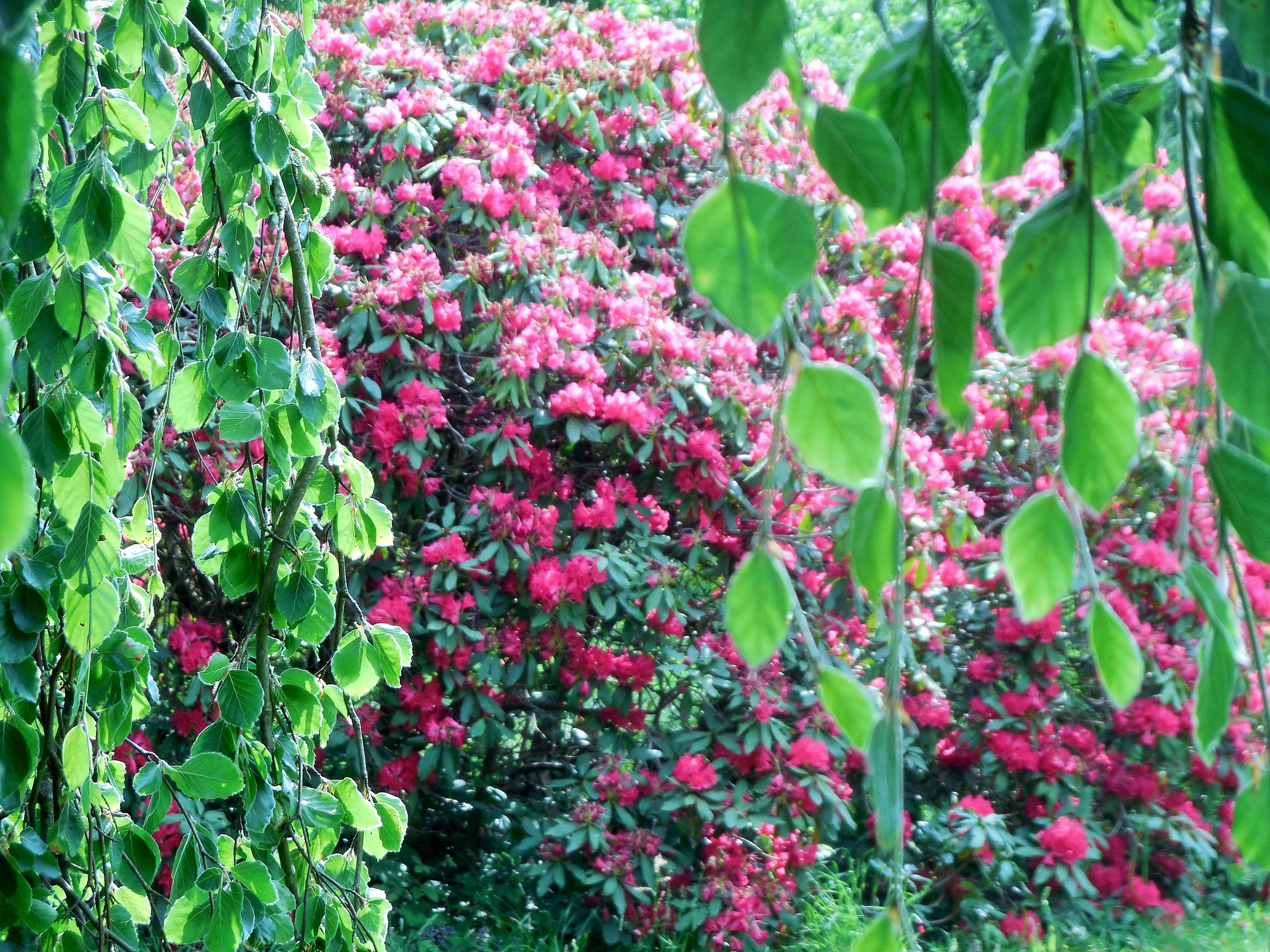 boutiguery-parc-floral-finistere (12)