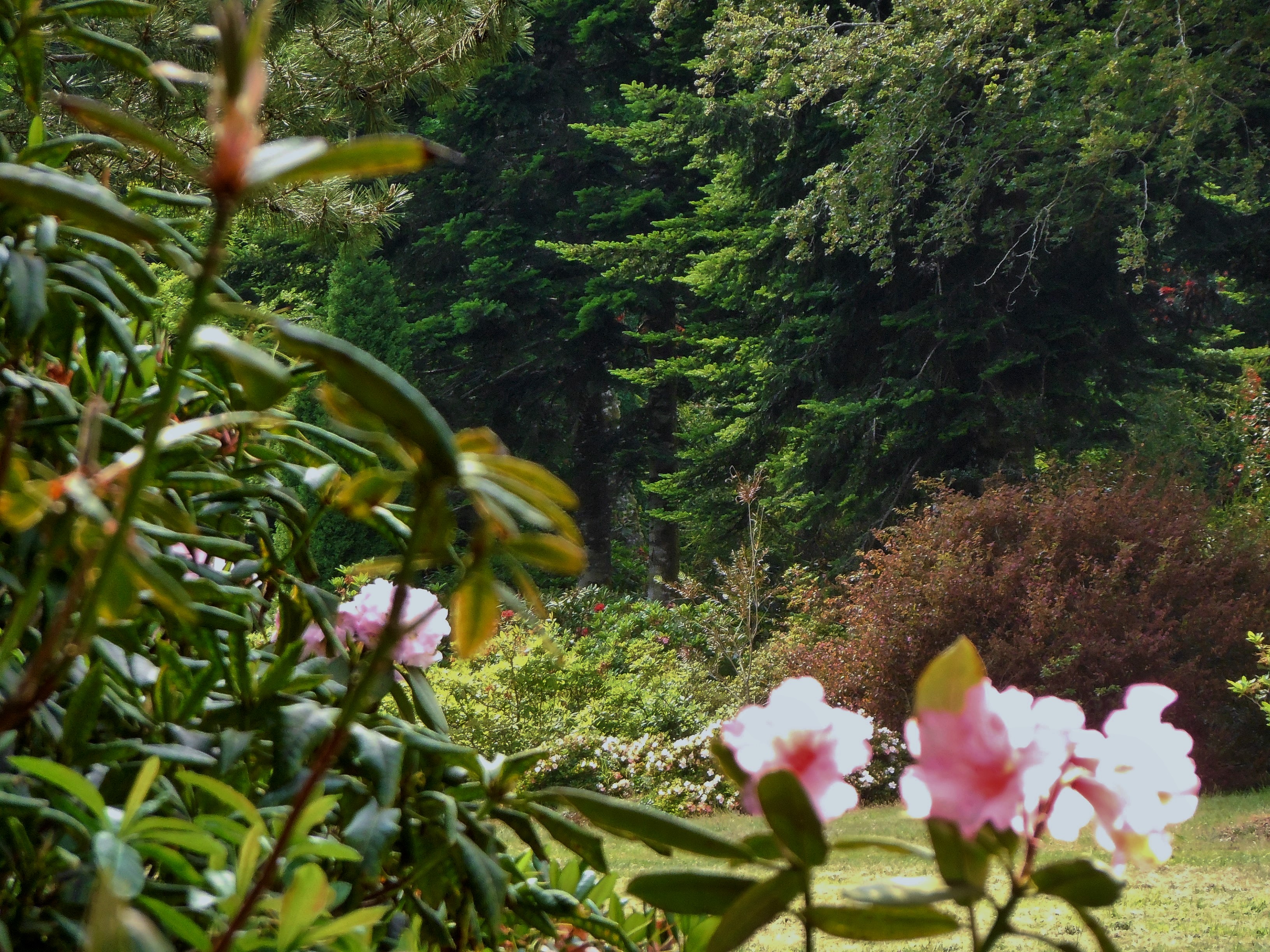 boutiguery-parc-floral-finistere (153)