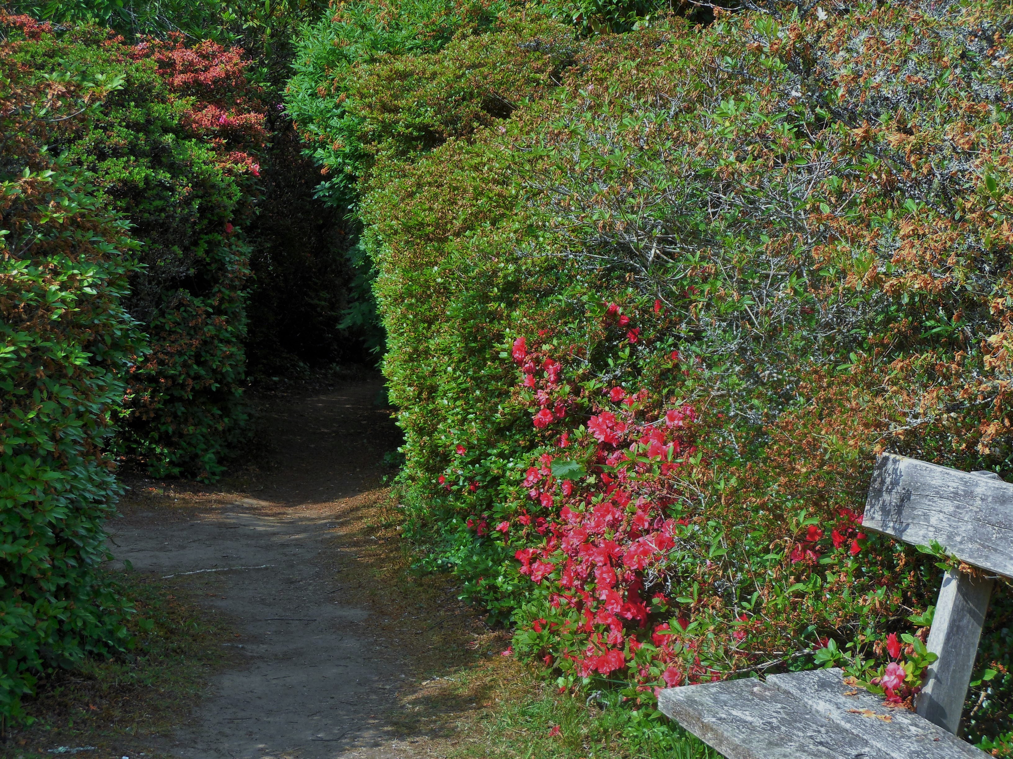 boutiguery-parc-floral-finistere (156)