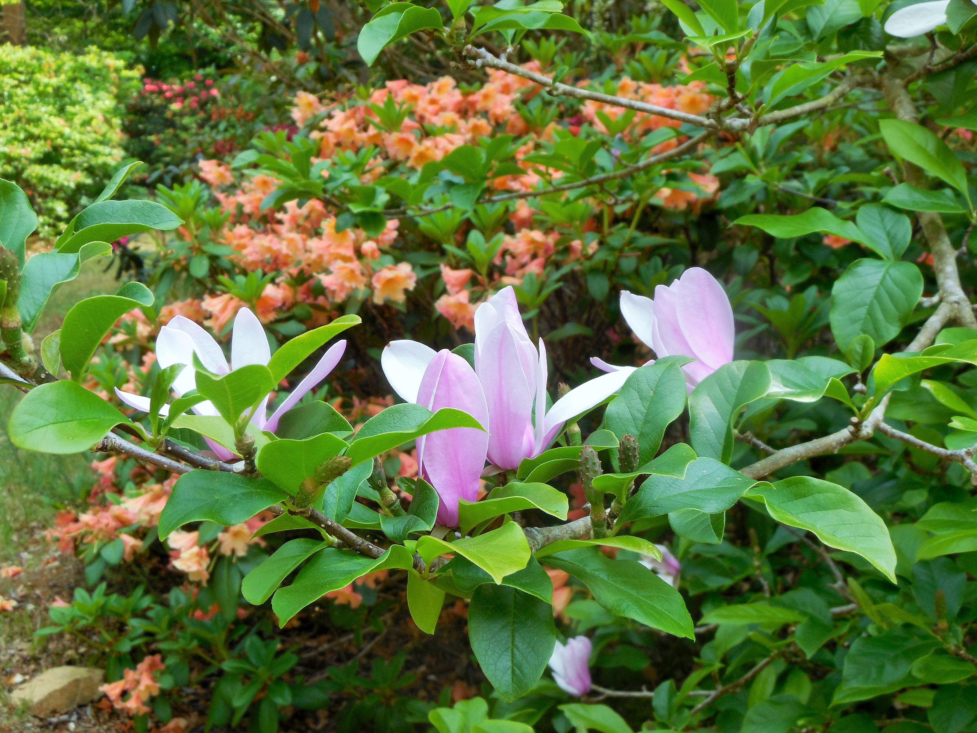 boutiguery-parc-floral-finistere (164)