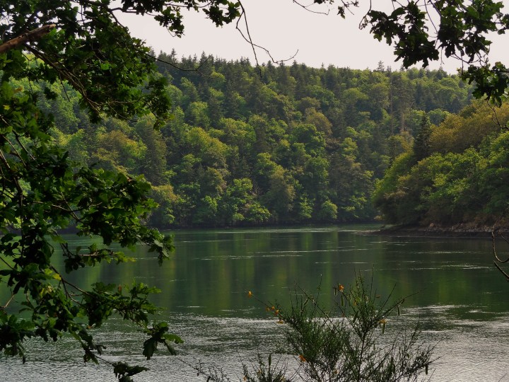 boutiguery-parc-floral-finistere (166)