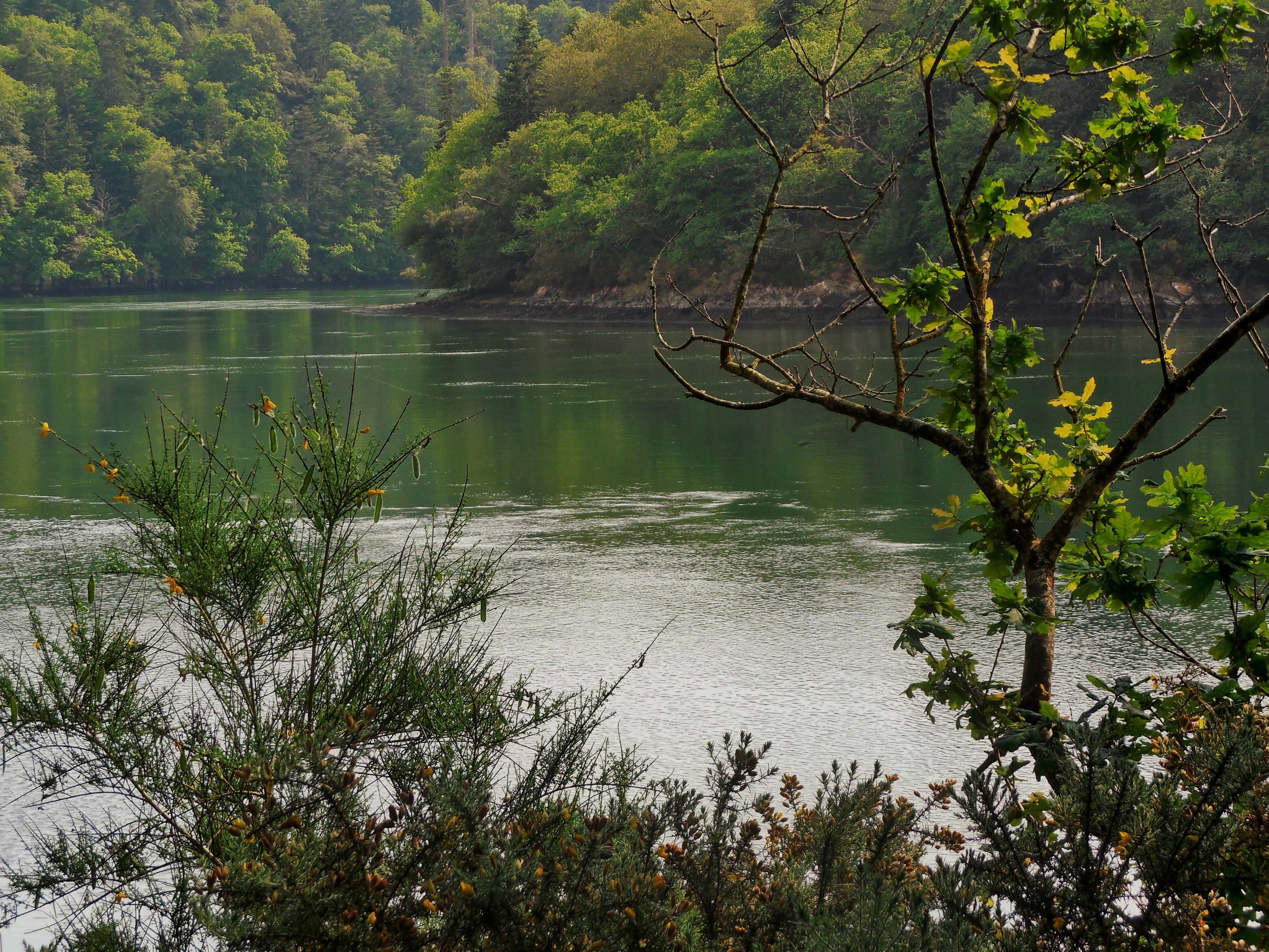 boutiguery-parc-floral-finistere (167)