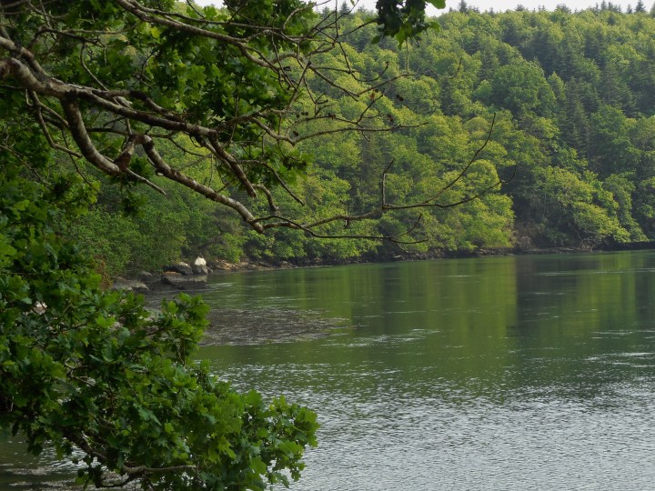 boutiguery-parc-floral-finistere (168)