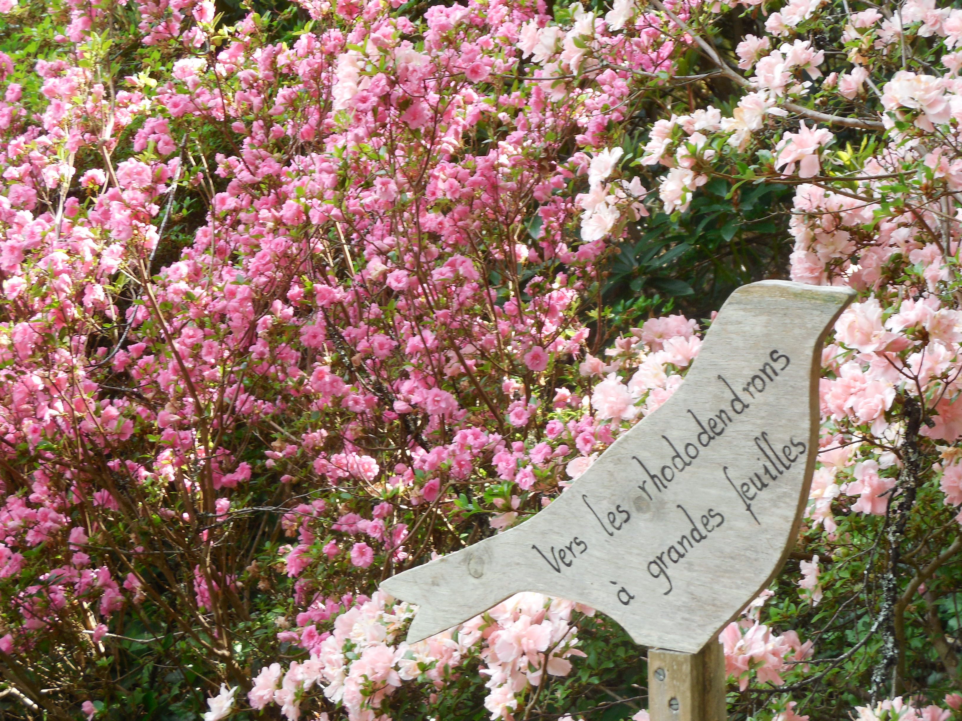 boutiguery-parc-floral-finistere (43)