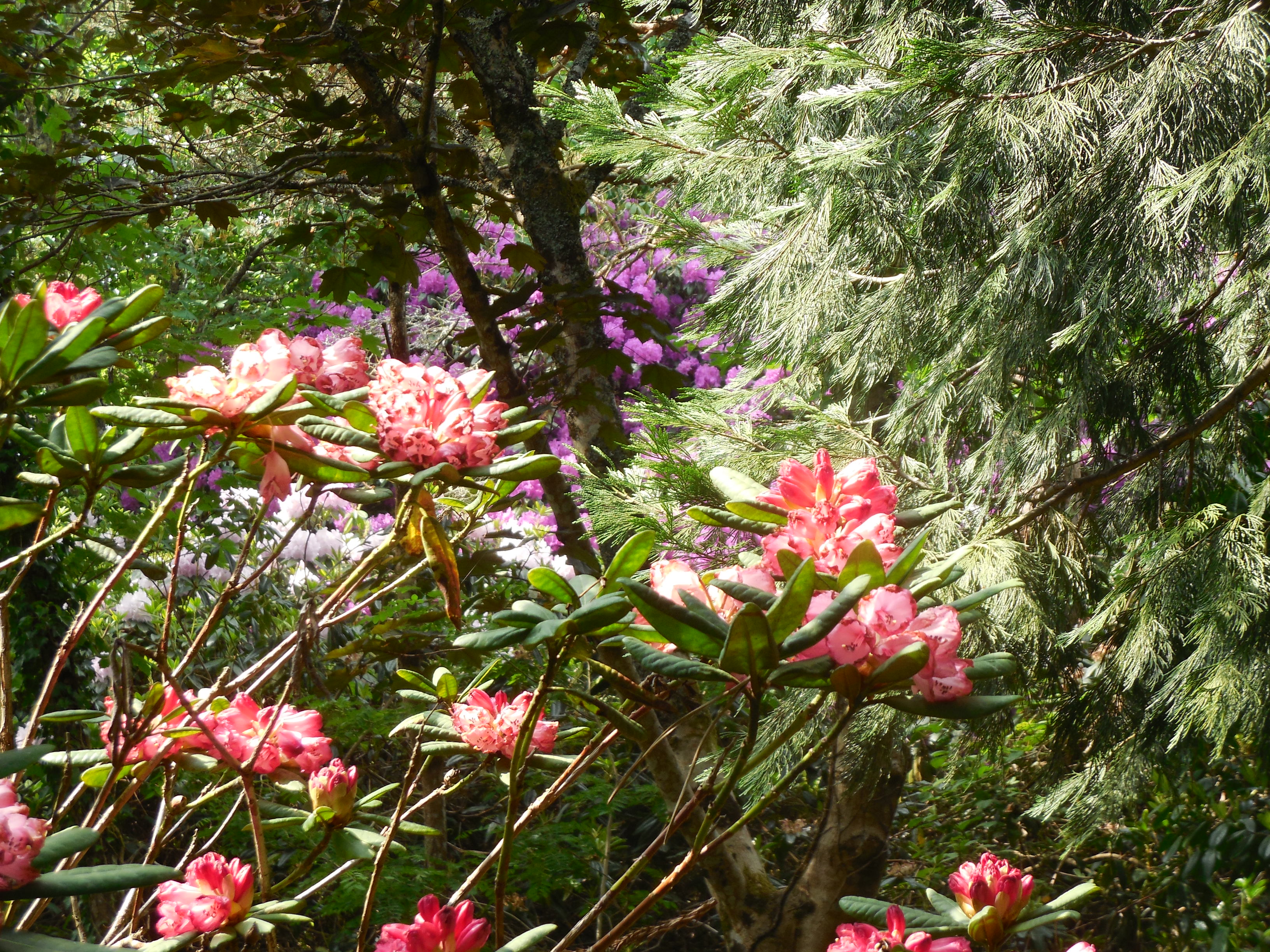 boutiguery-parc-floral-finistere (5)