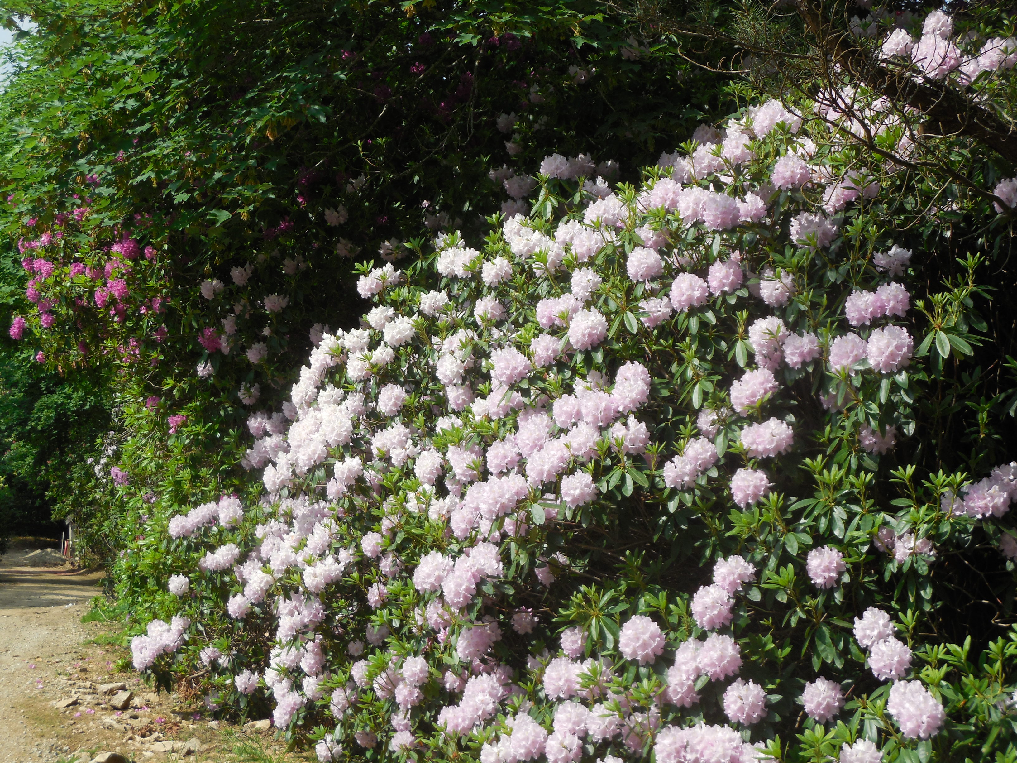 boutiguery-parc-floral-finistere (6)