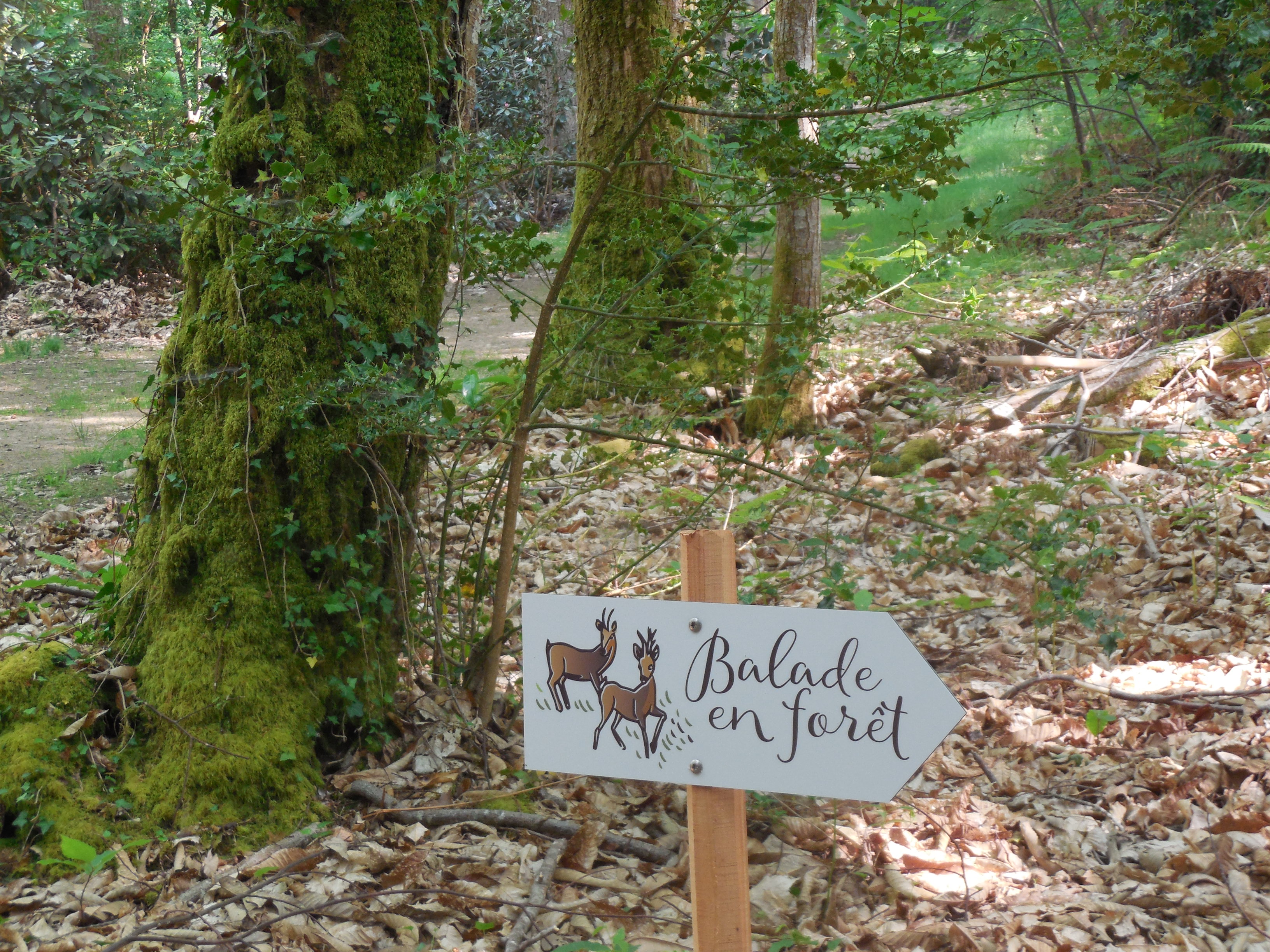 boutiguery-parc-floral-finistere (71)