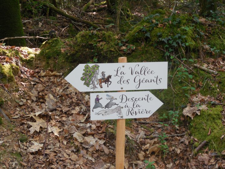 boutiguery-parc-floral-finistere (78)