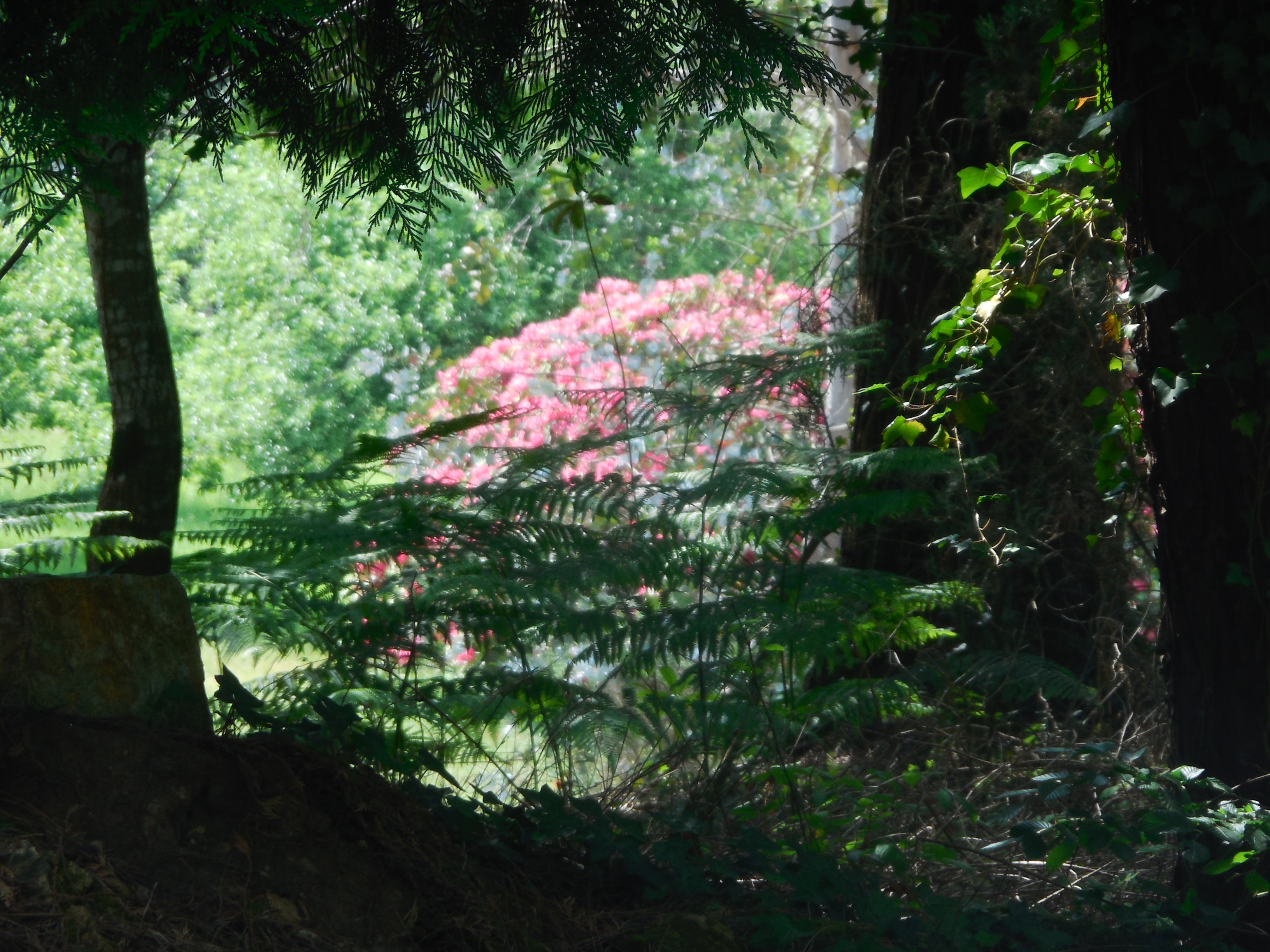 boutiguery-parc-floral-finistere (8)