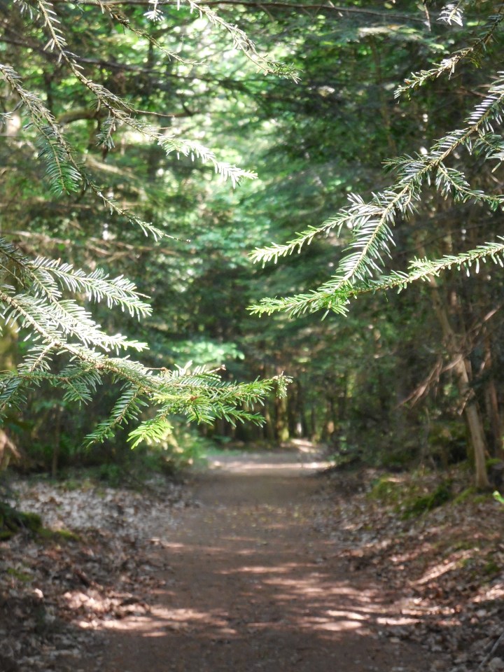 boutiguery-parc-floral-finistere (80)