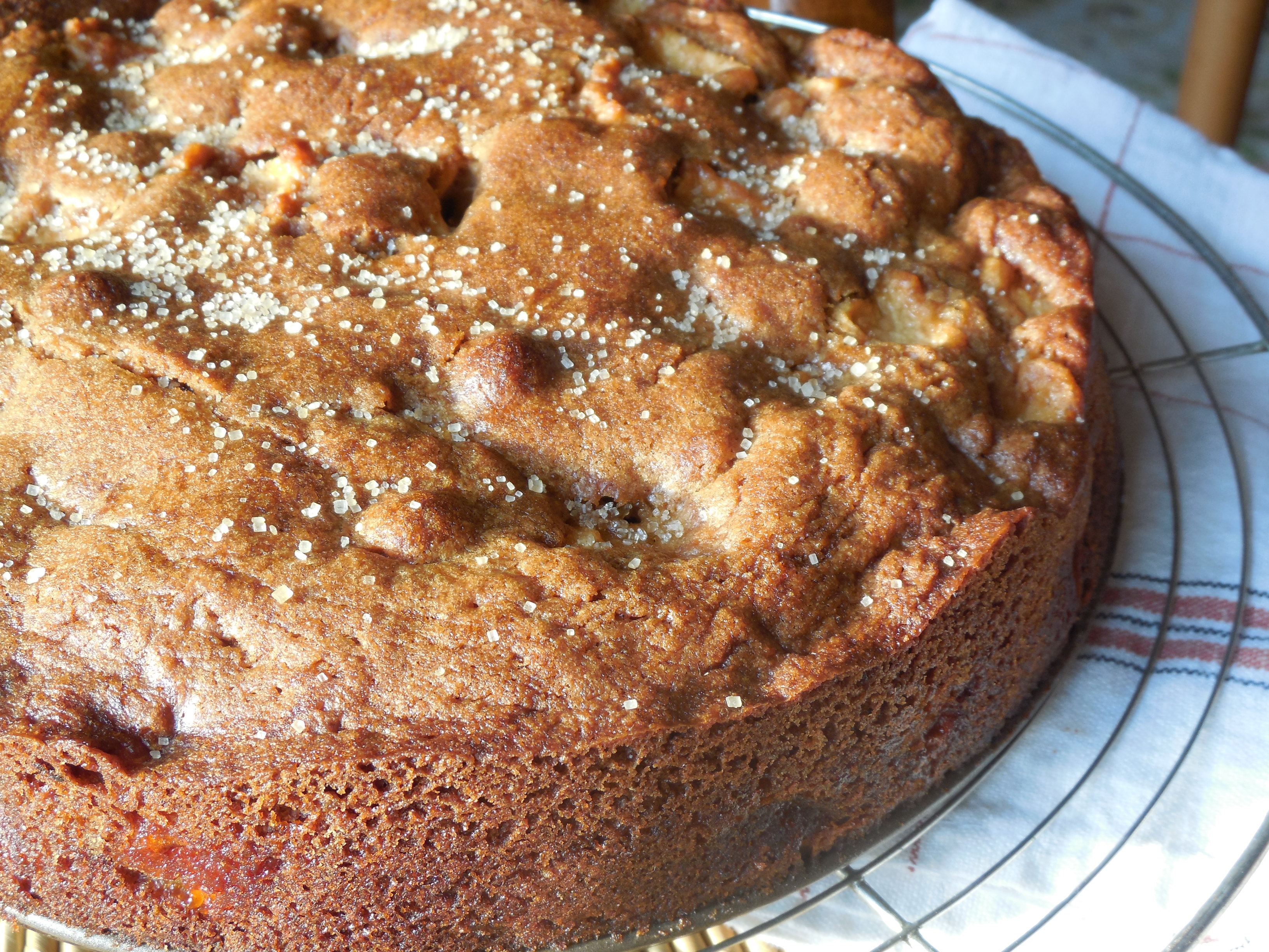 gateau-aux-pommes-et-au-cidre (7)