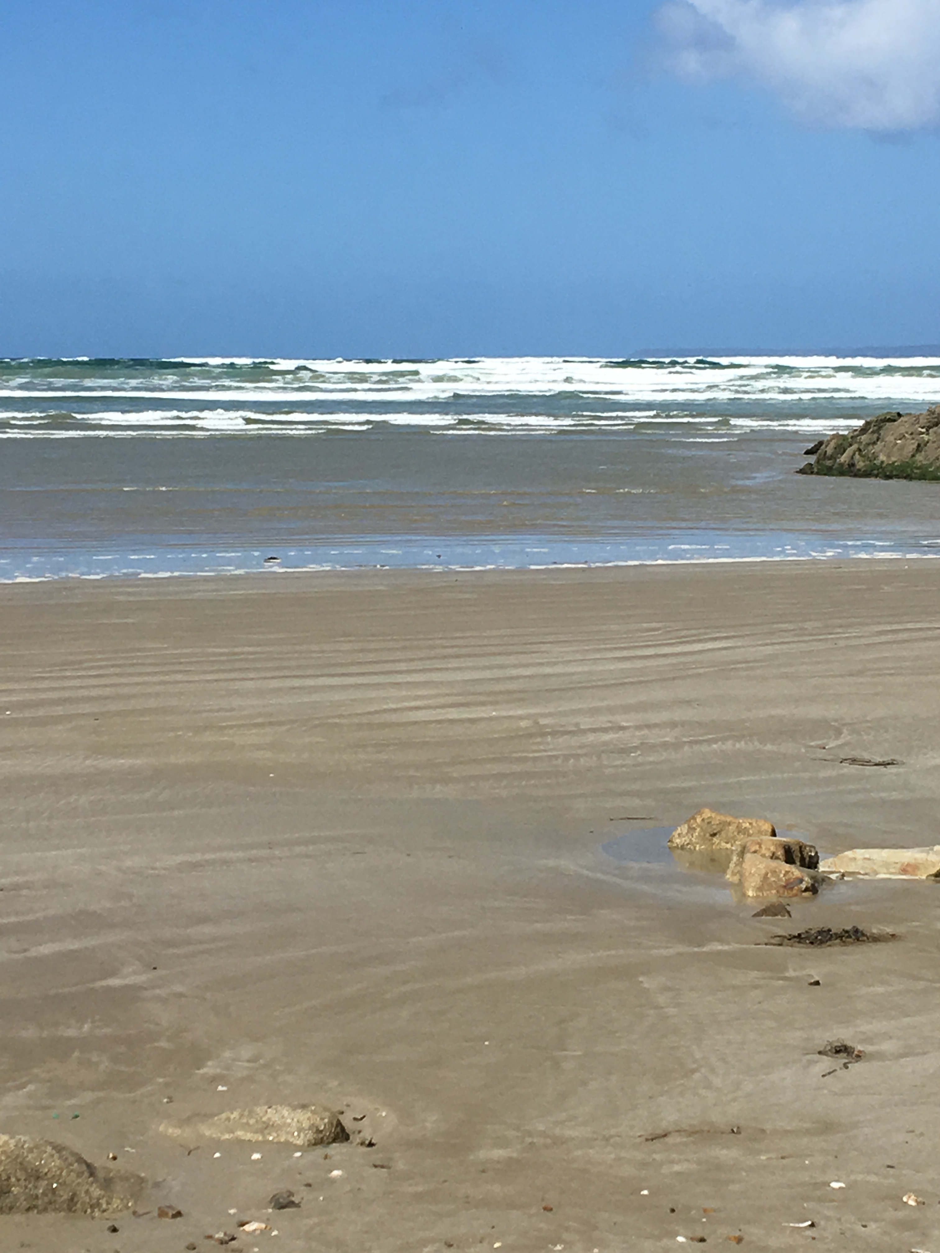 plage-ste-anne-la-palud-052018 (12)