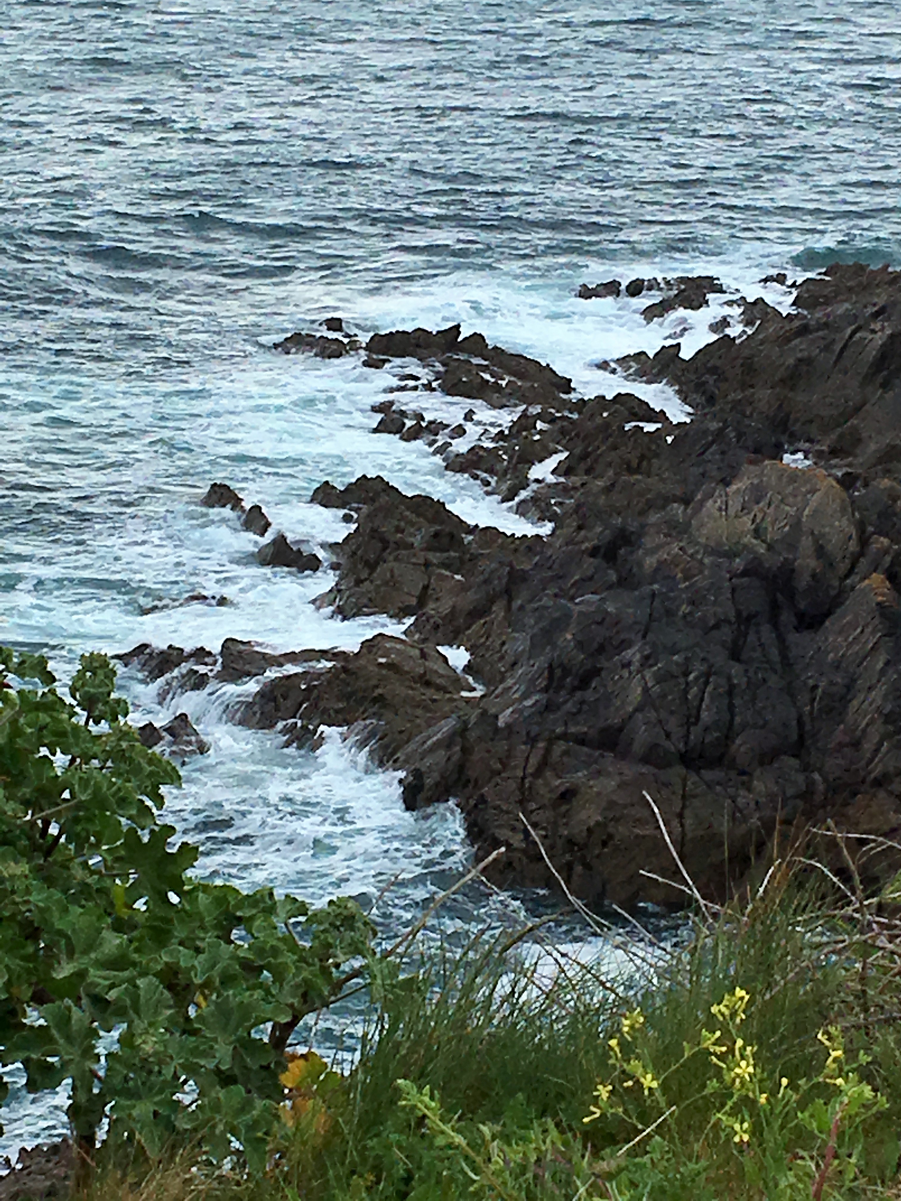 pointe-st-mathieu (36)