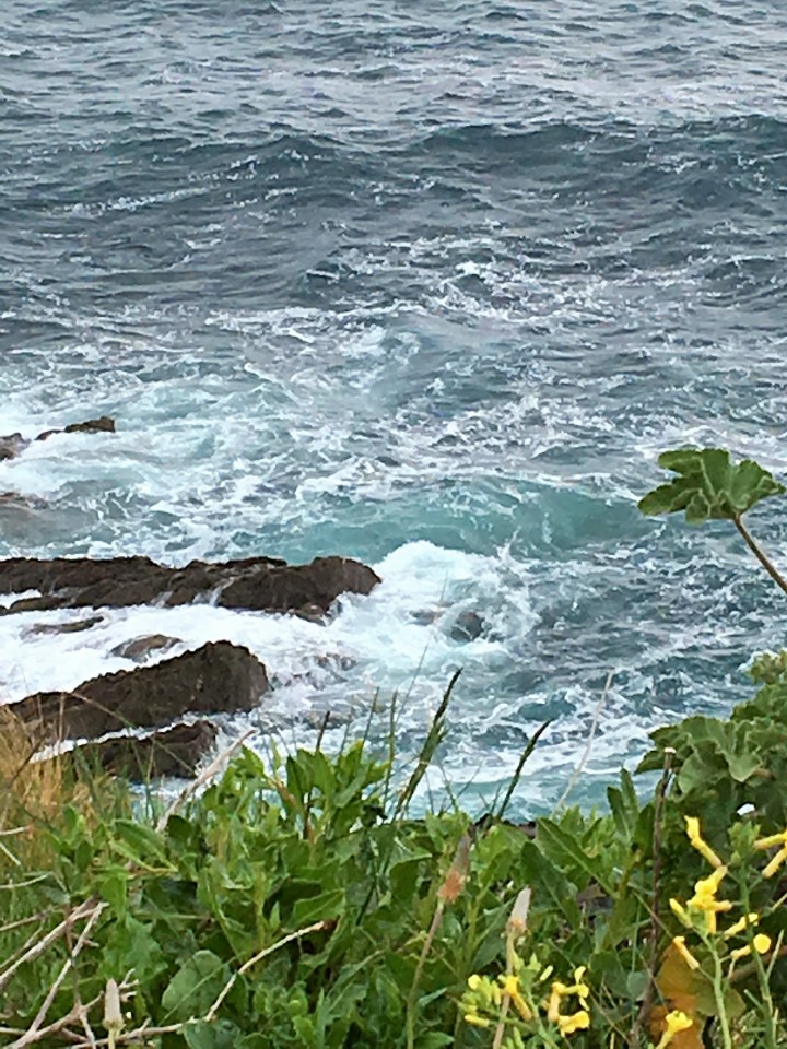 pointe-st-mathieu (37)