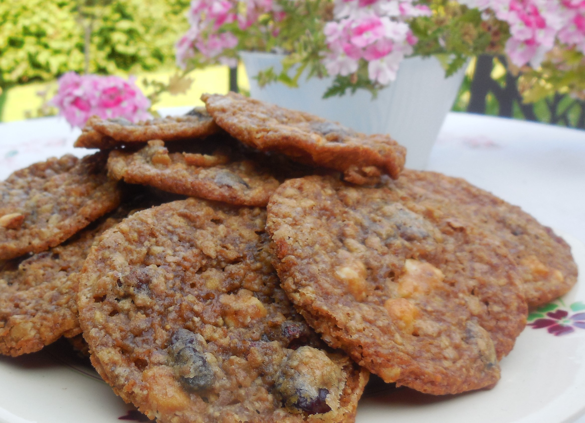 biscuits-chocolat-blanc-et-cranberries (5)
