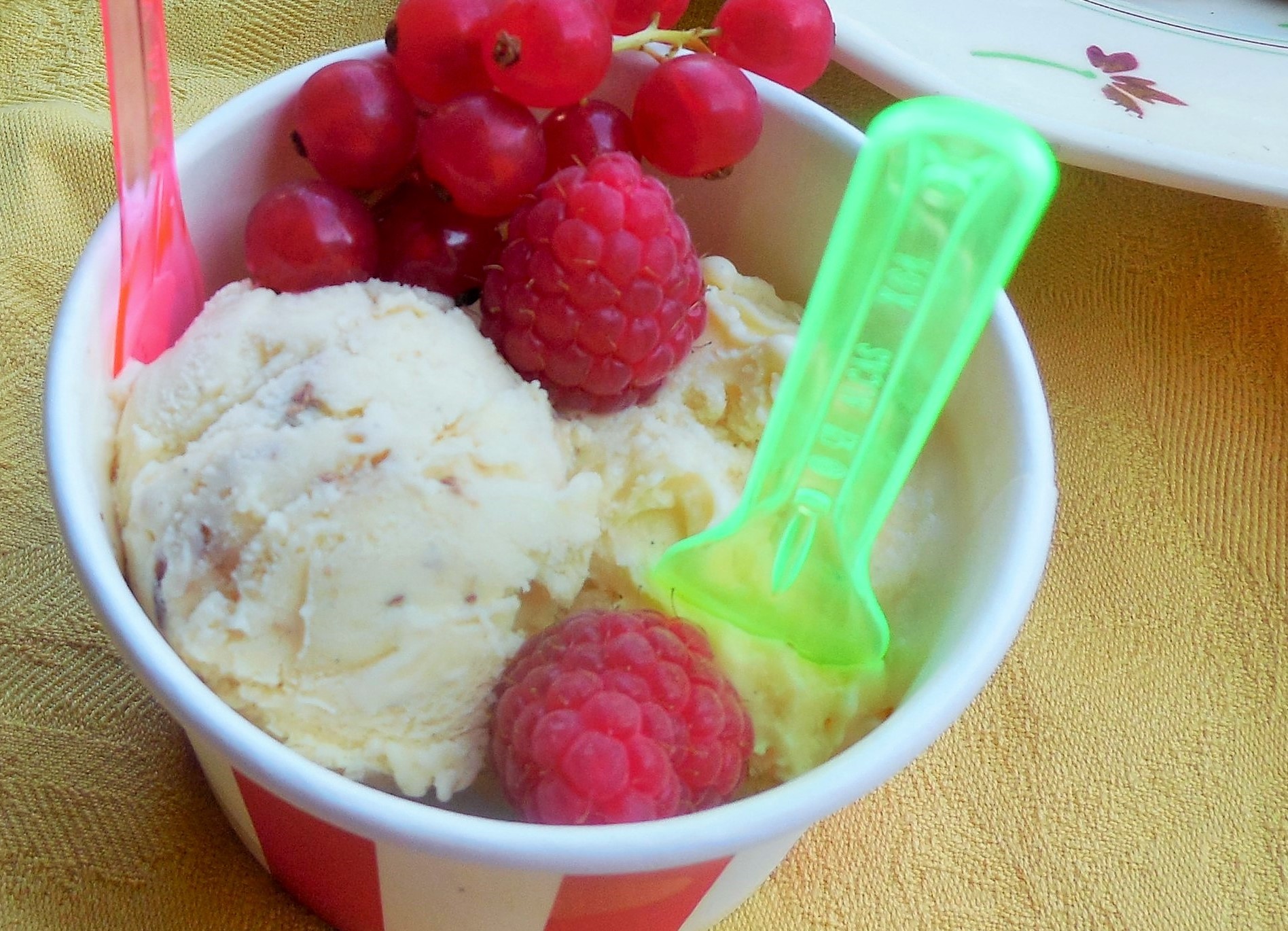 glace-vanille-cremeuse (2)
