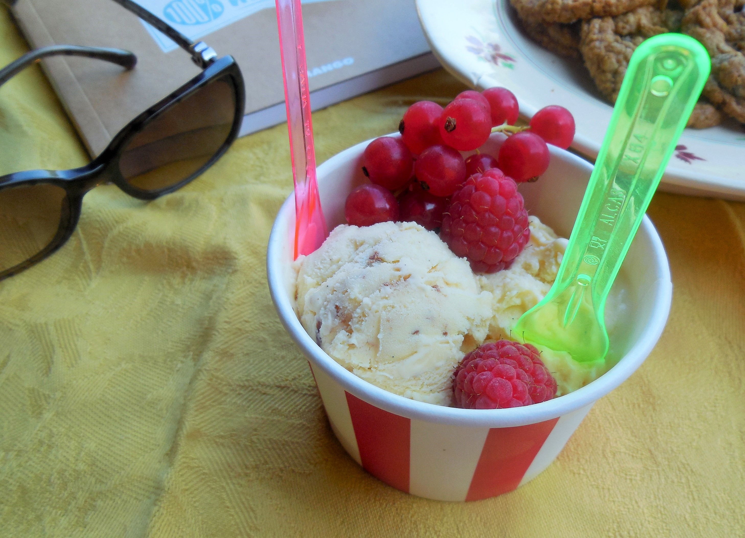 glace-vanille-cremeuse (3)