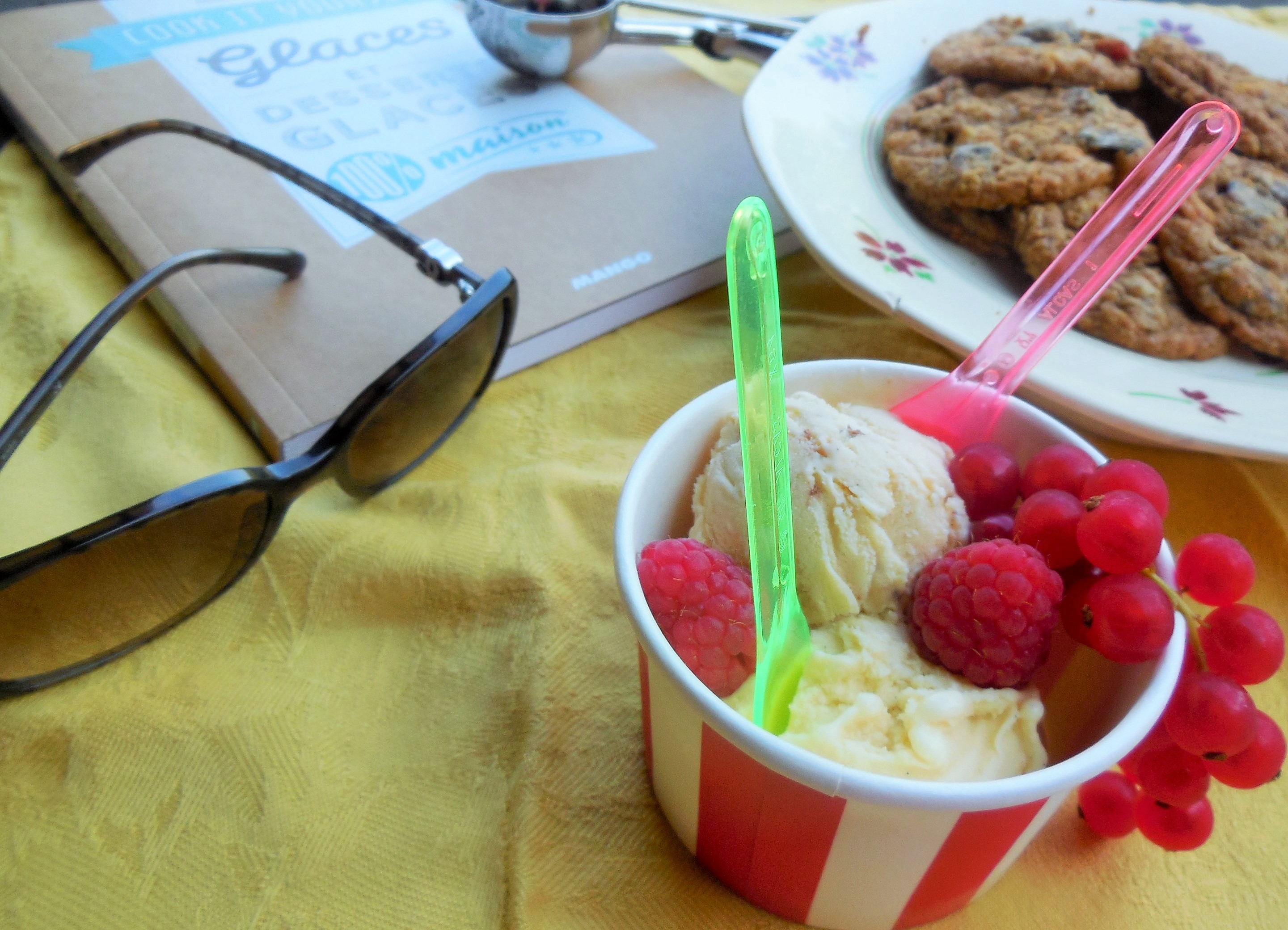 glace-vanille-cremeuse (4)