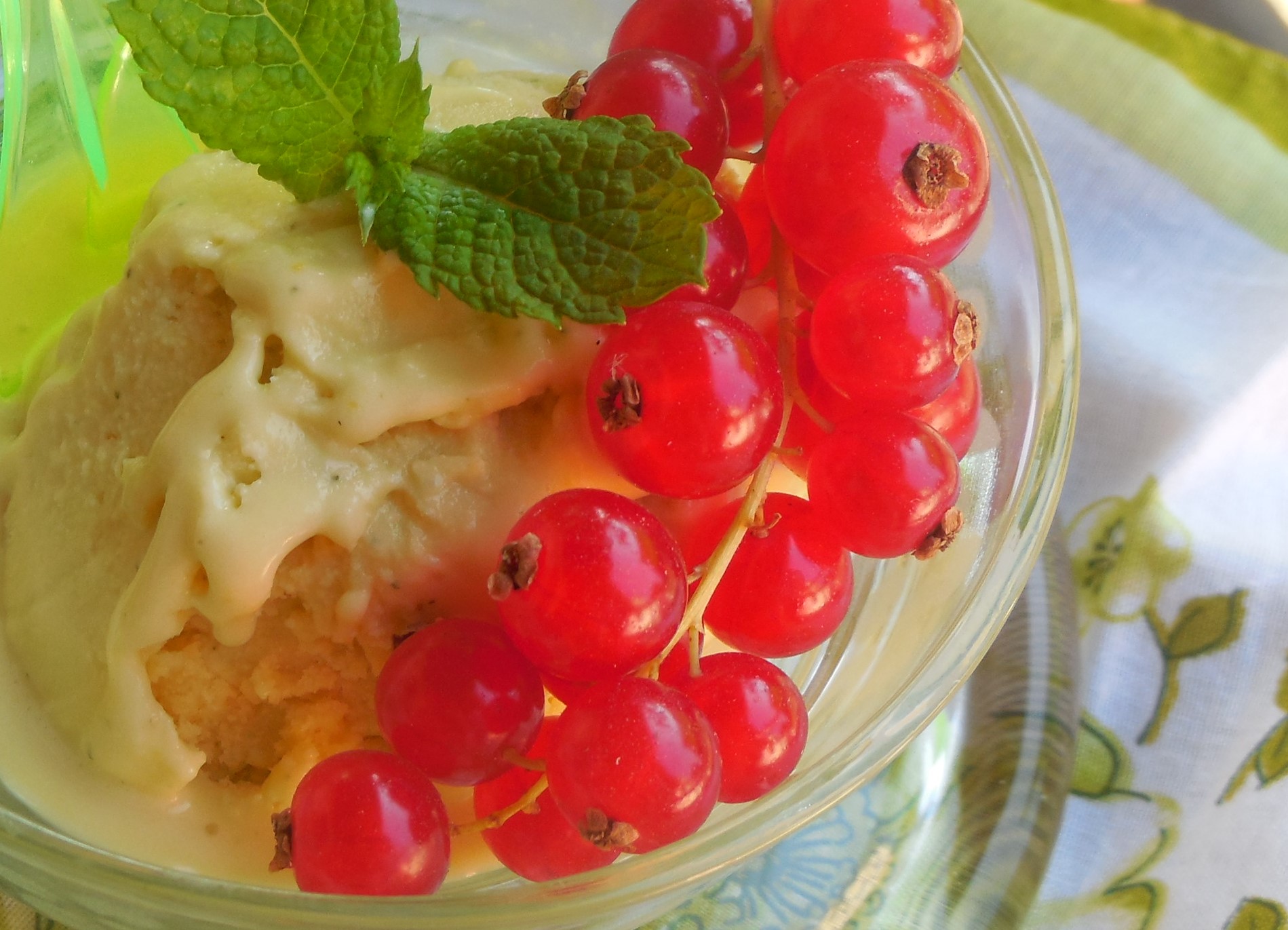 glace-a-la-menthe-fraiche (3)
