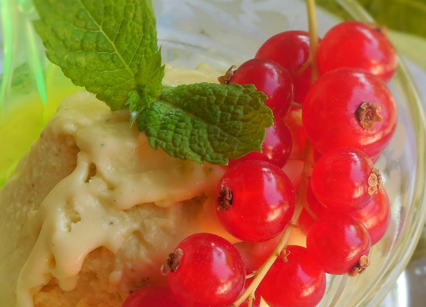 glace-a-la-menthe-fraiche (4)