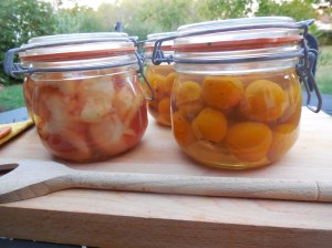 Bocaux de pĂŞches & de mirabelles (du jardin)