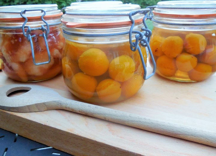 bocaux-peches-et-mirabelles (4)