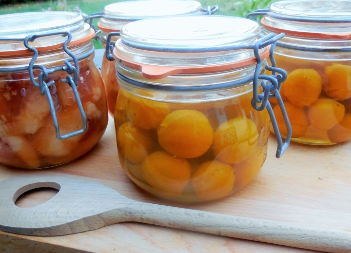 bocaux-peches-et-mirabelles (5)