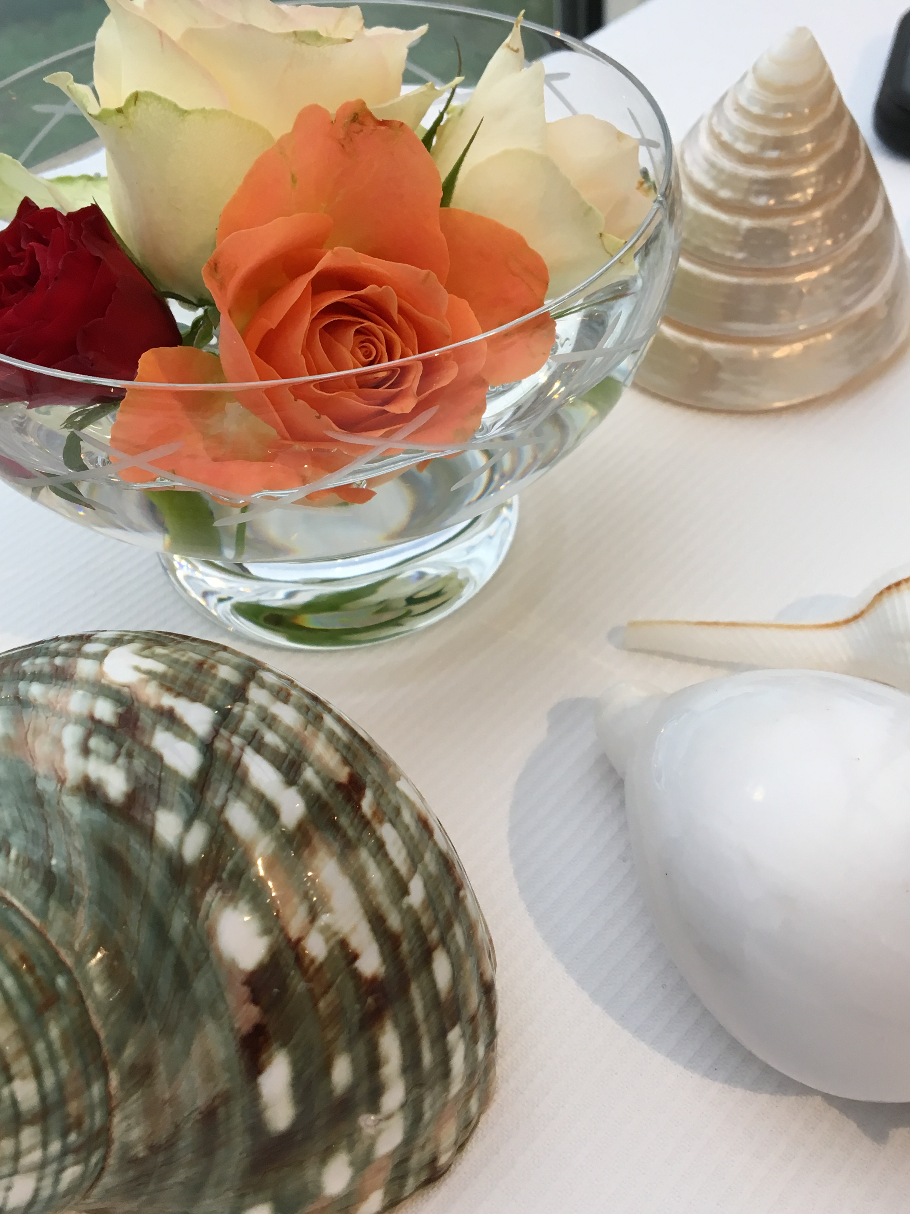 Hôtel de la Plage Ste Anne la Palud (29) – Noce de&nbsp;Corail