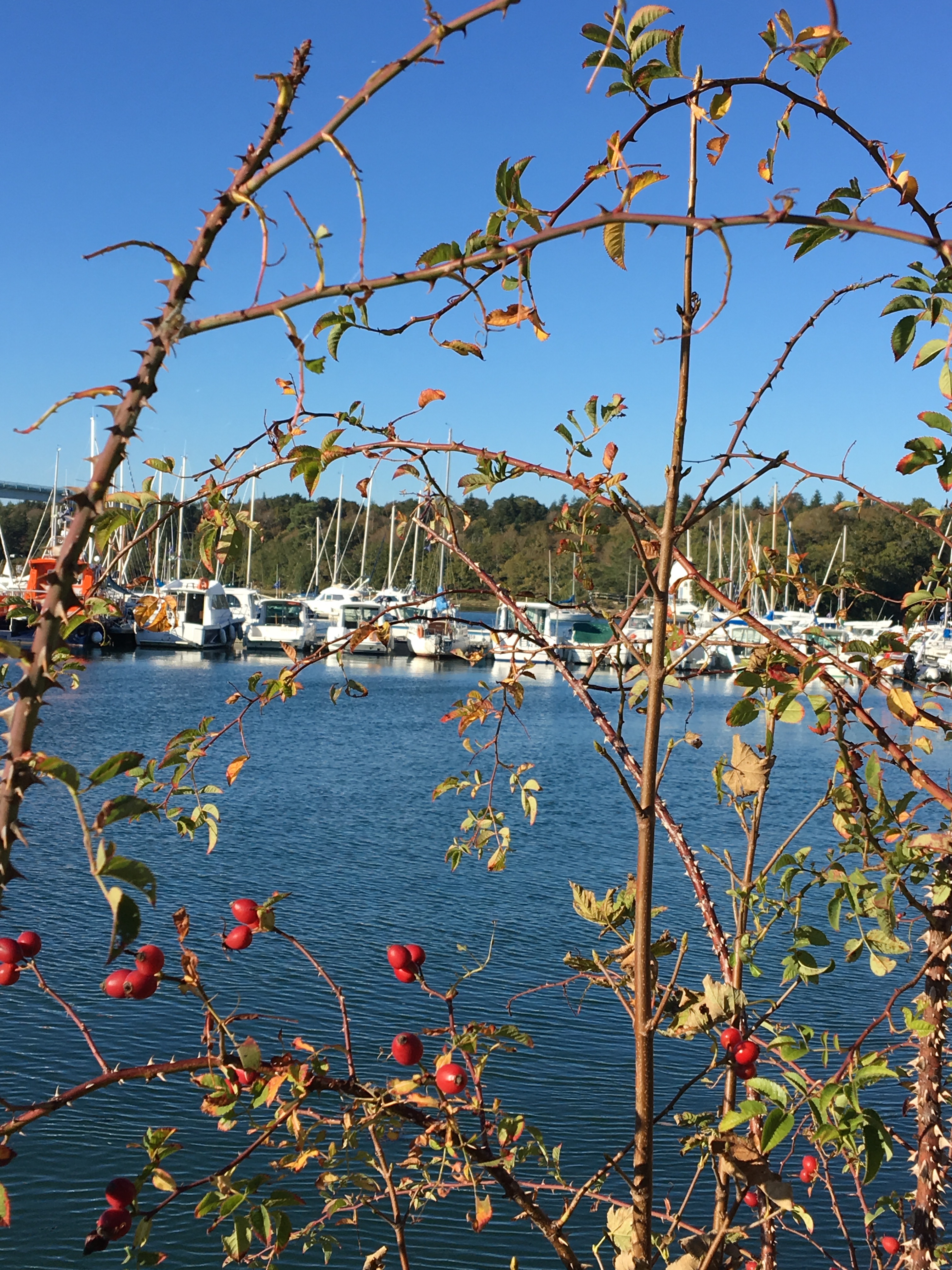 we-21102018-benodet (4)