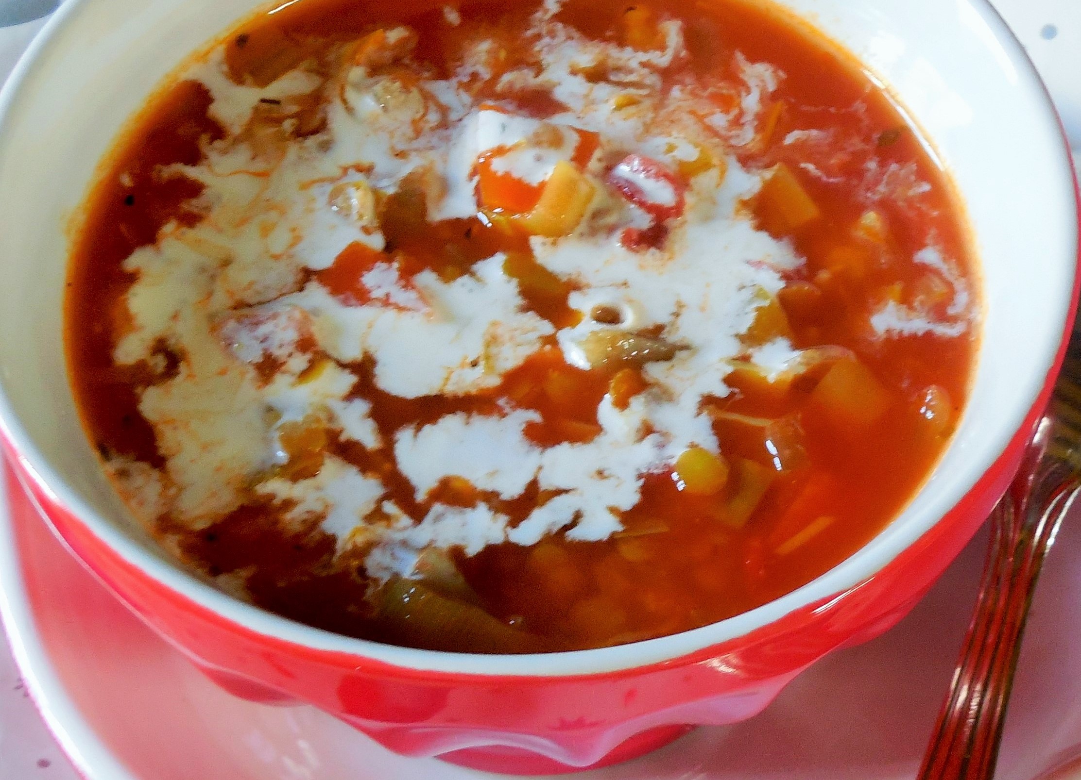 soupe-ancienne-de-legumes-eminces (2)