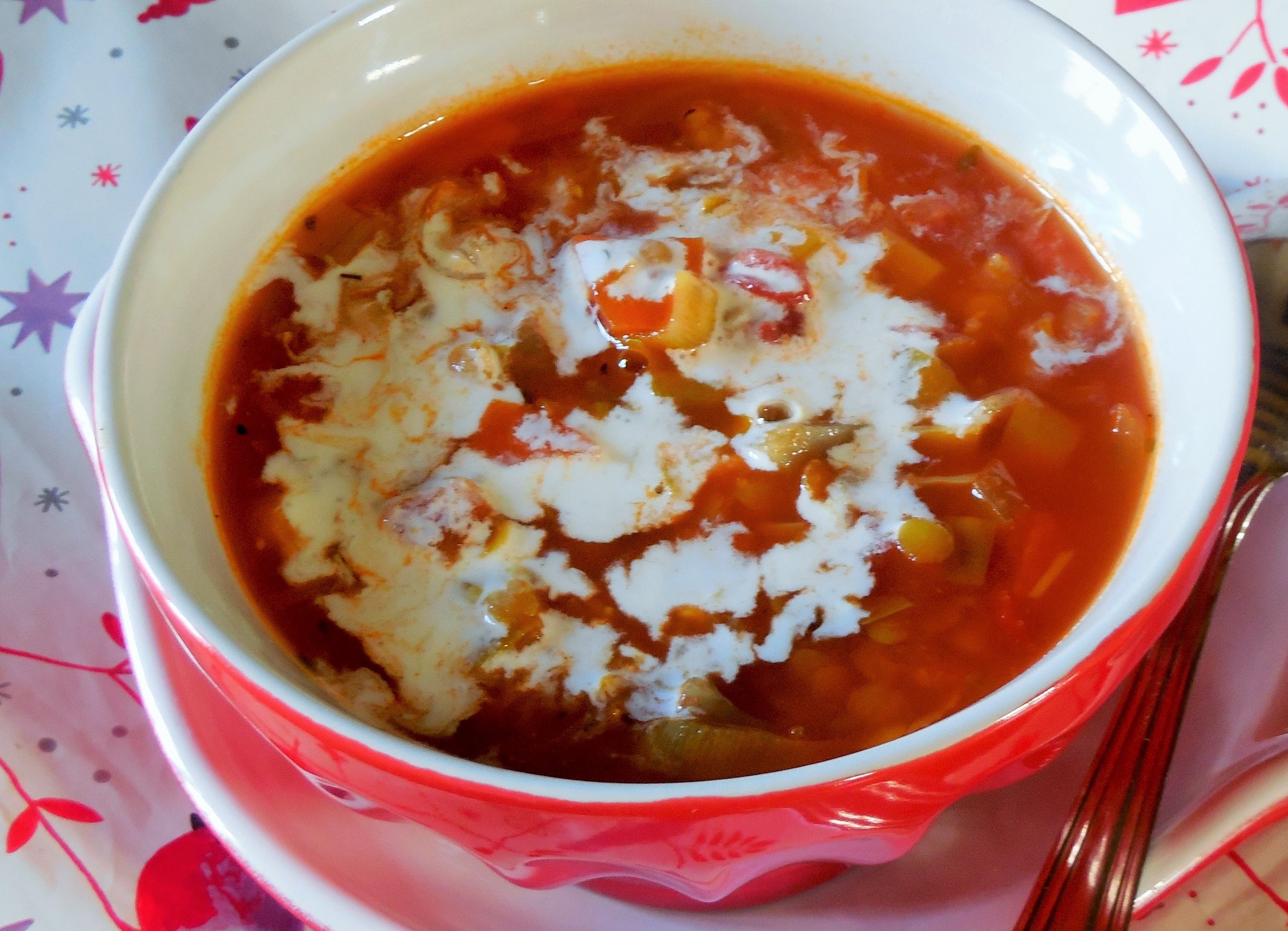 soupe-ancienne-de-legumes-eminces (7)