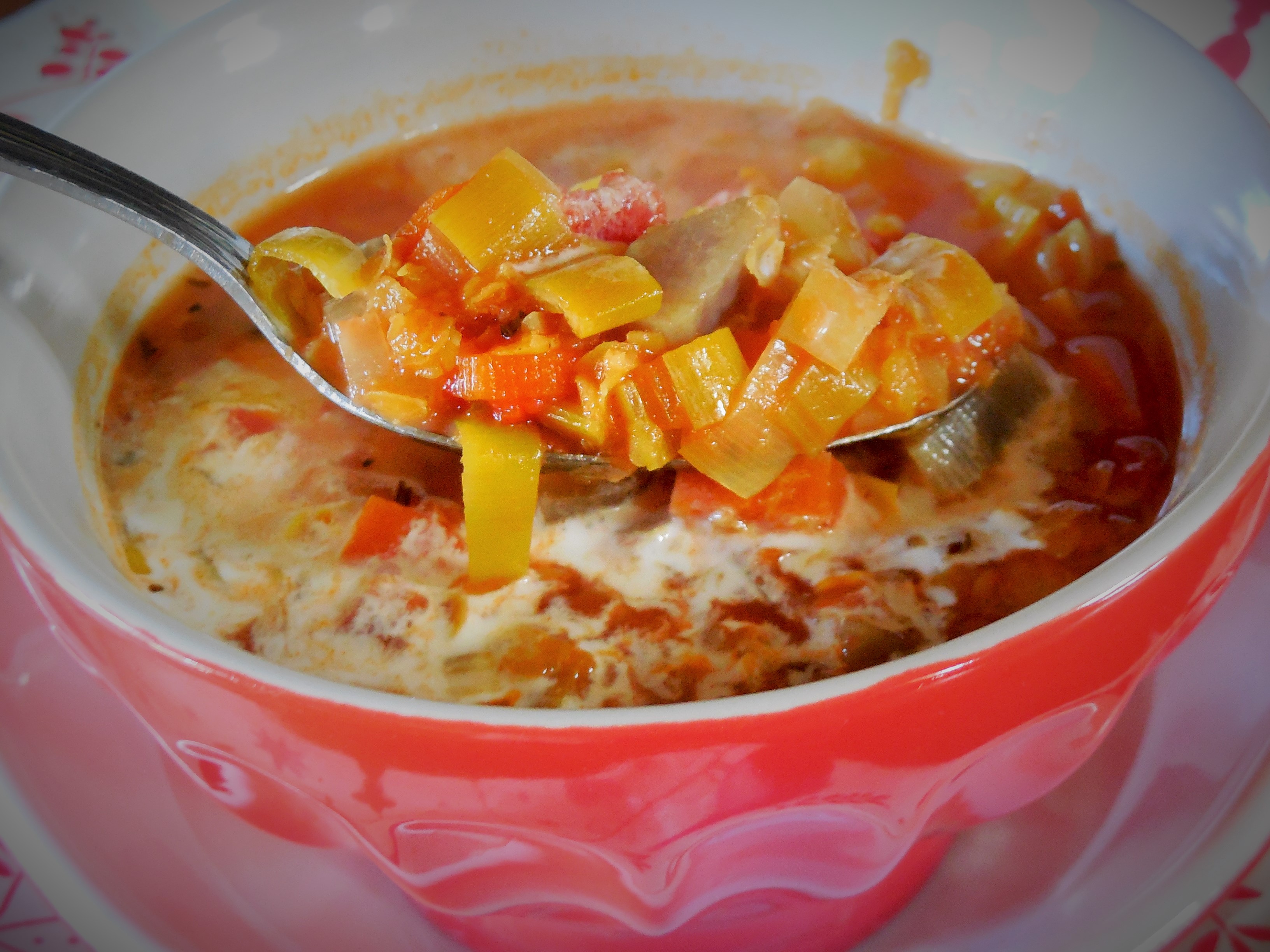 soupe-ancienne-de-legumes-eminces (8)