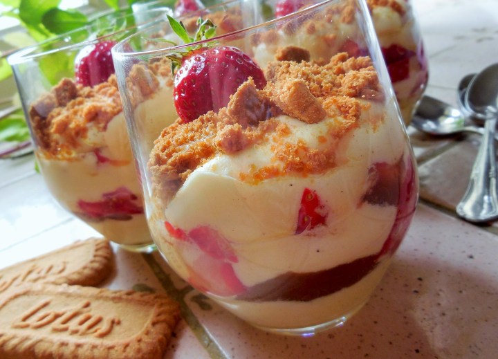 tiramisu-rhubarbe-fraise (8)
