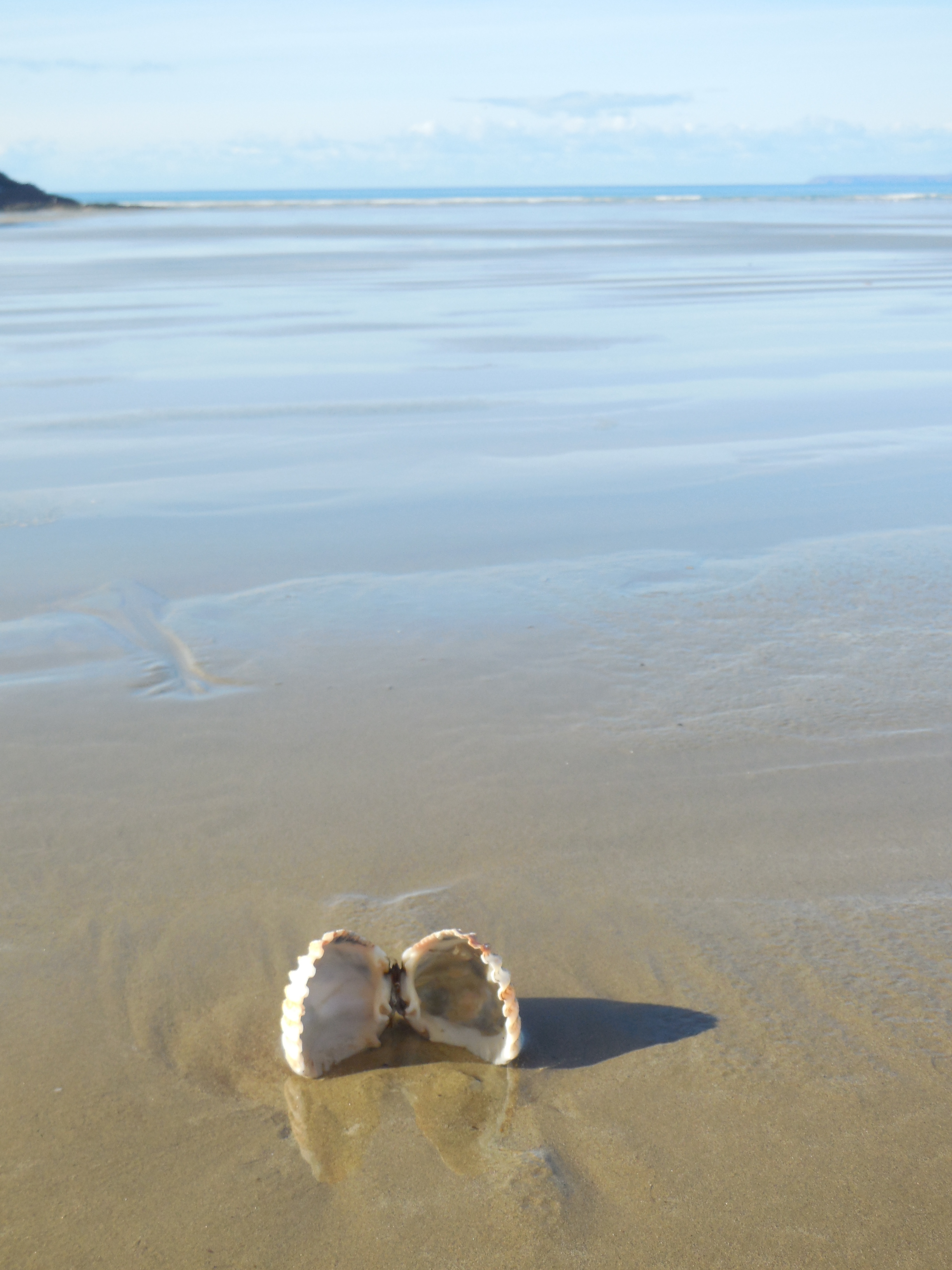 plage-st-anne-02-2019 (2)