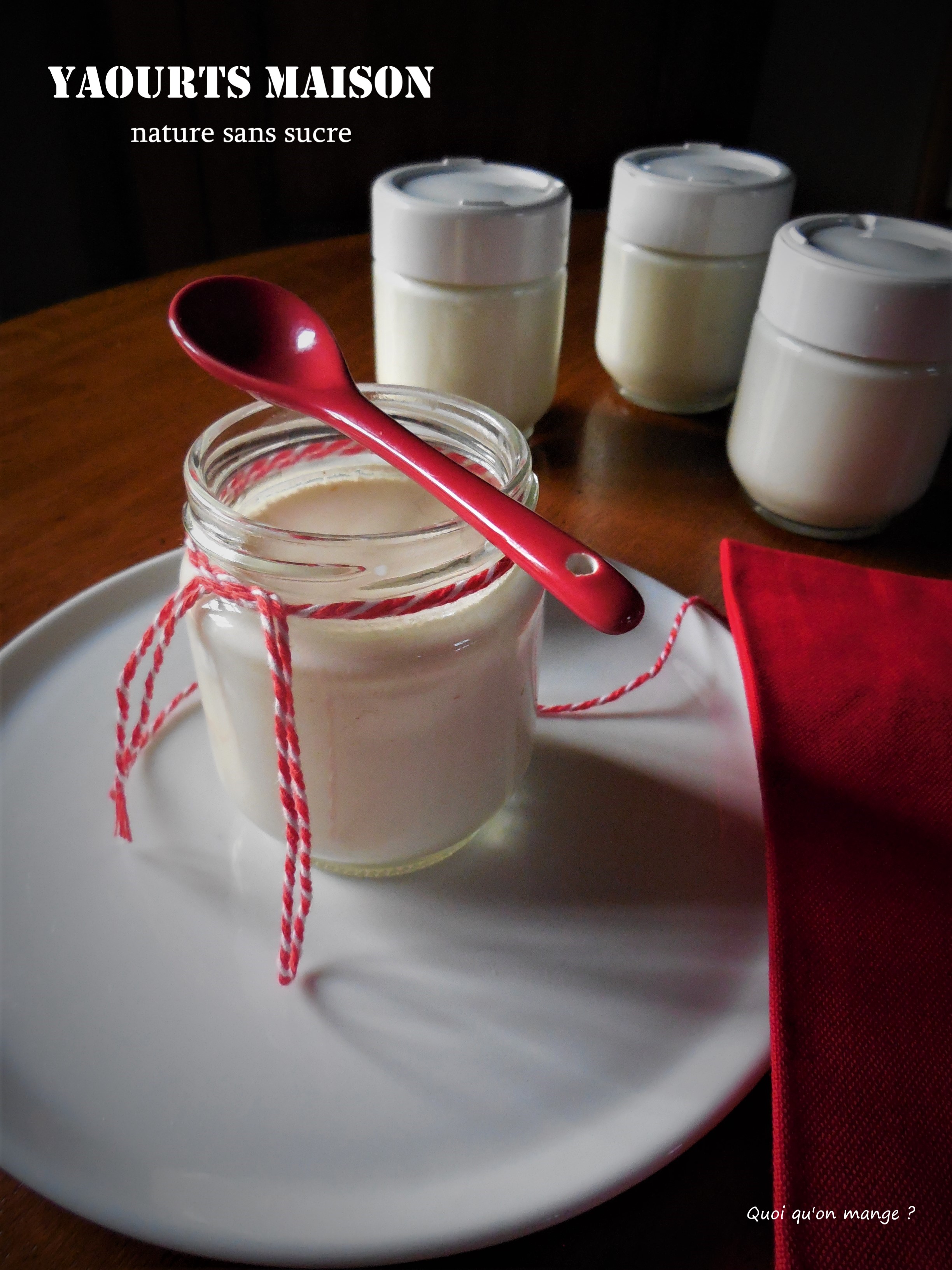 Yaourts maison 