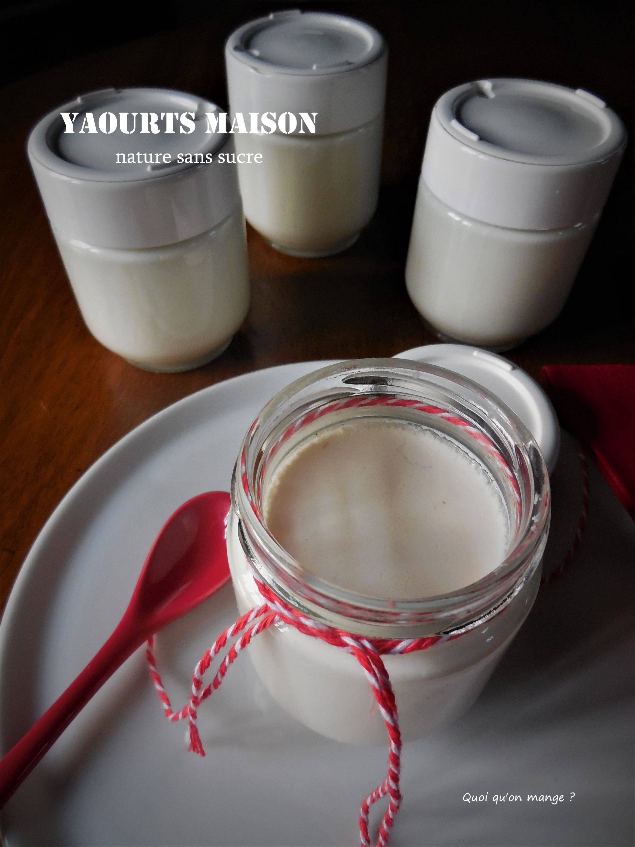 Yaourts maison 