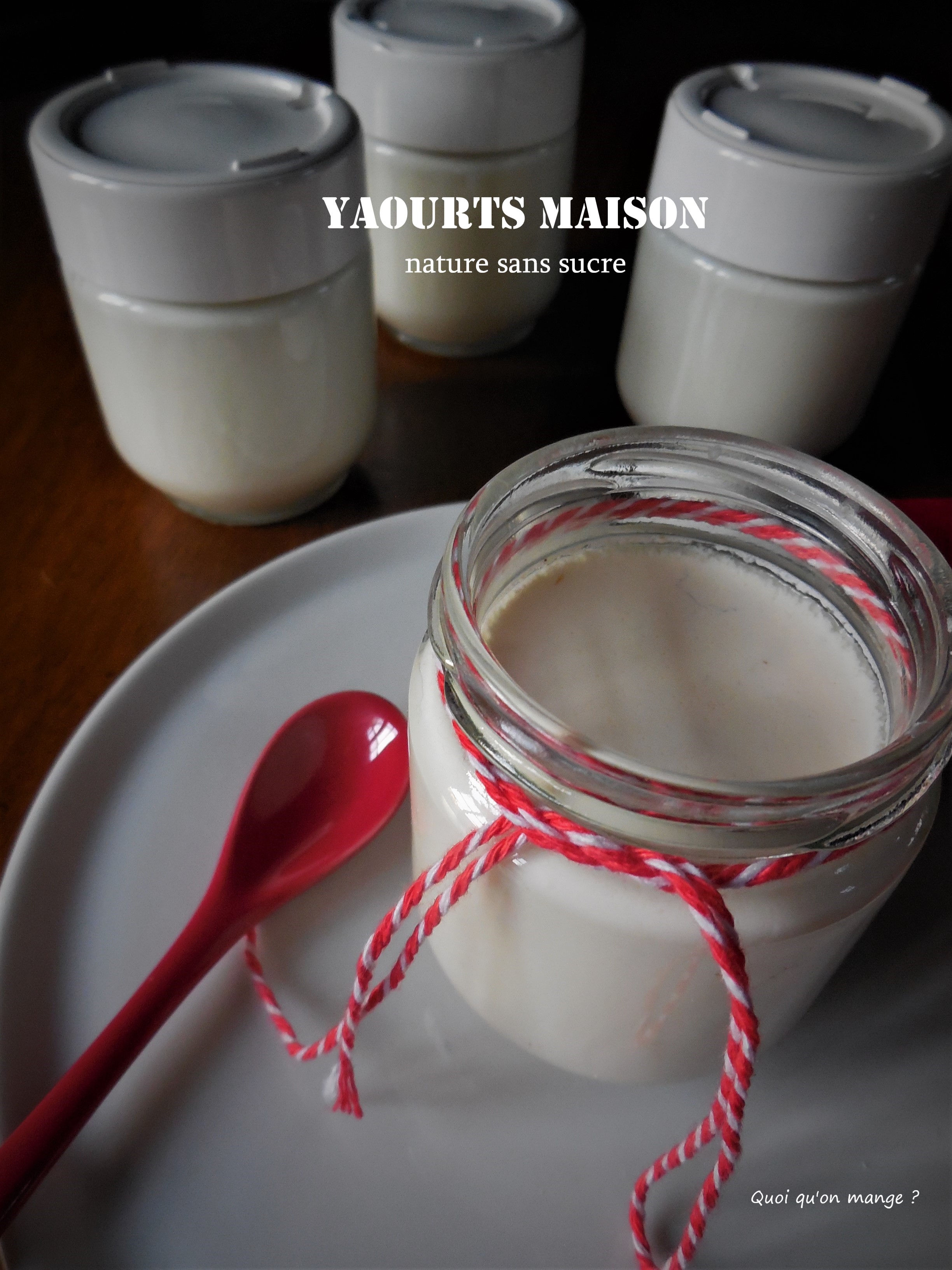 Yaourts maison 