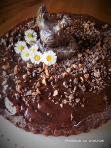 Moelleux au chocolat pour&nbsp;Pâques