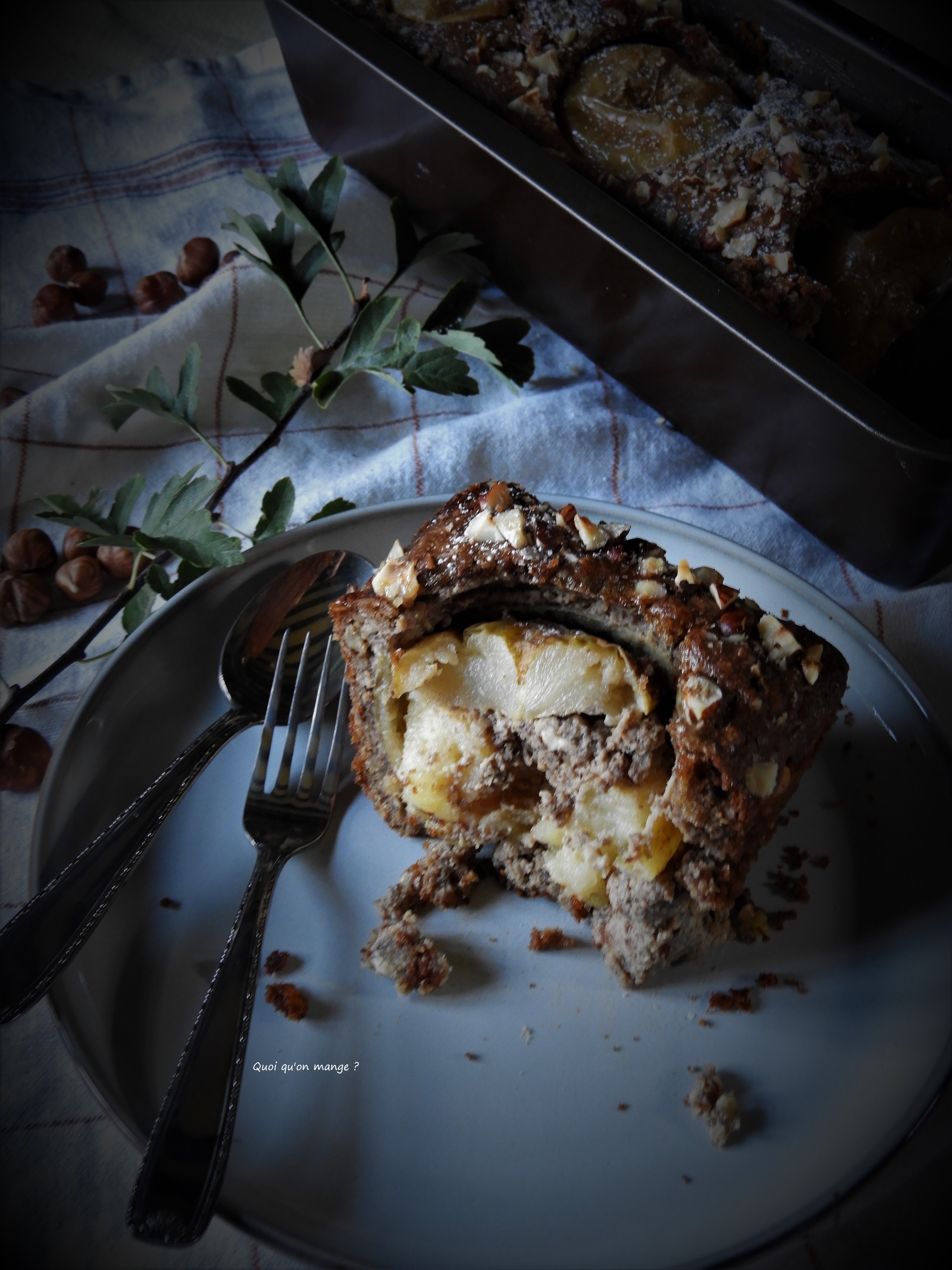 Gâteau -sans gluten- aux pommes et aux noisettes